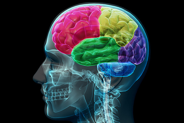 Comment réparer des lésions du cerveau après un AVC ? © aboutmodafinil.com, Flickr, CC&nbsp;by 2.0