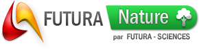 Les dernières actualités de Futura-Nature
