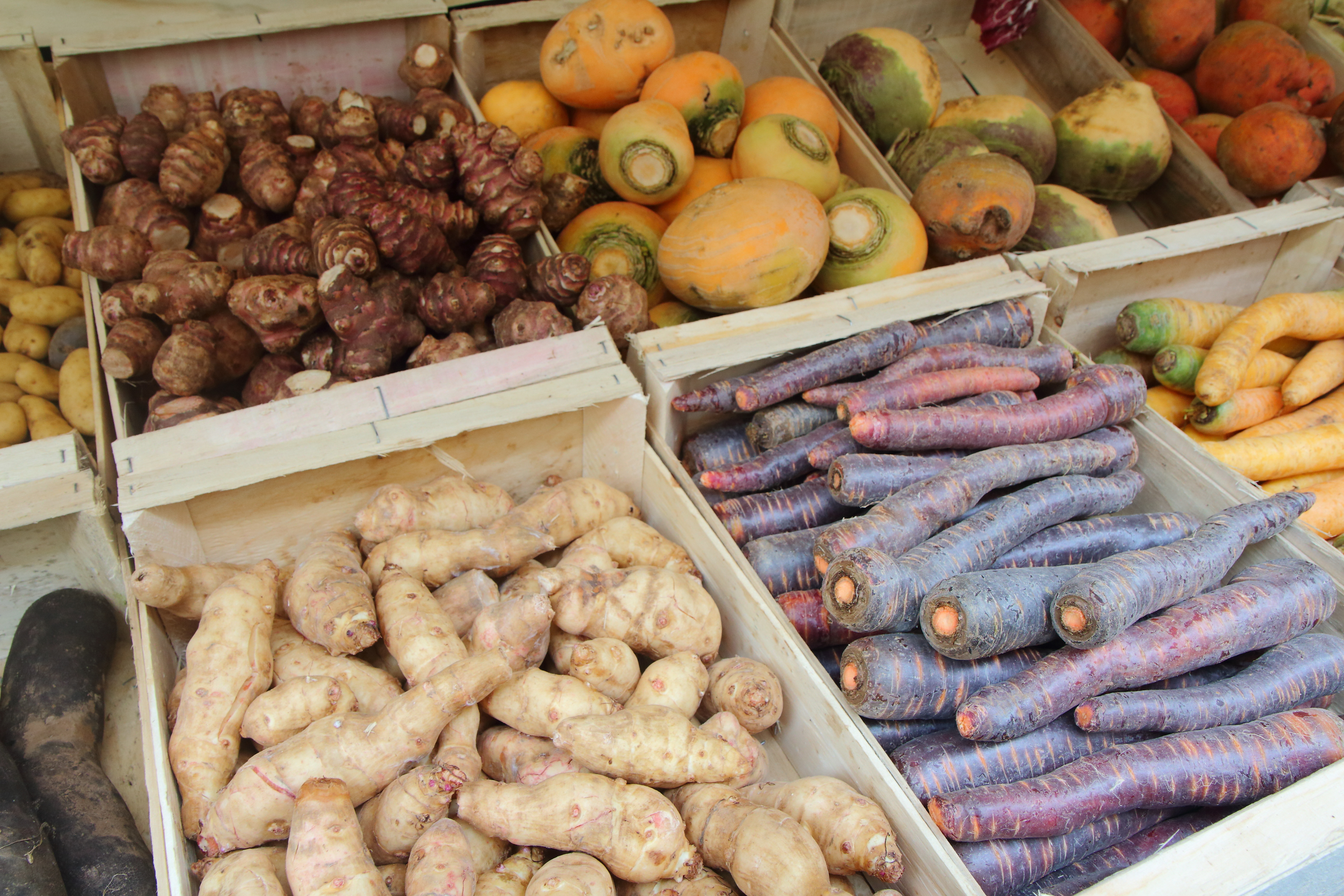 Des légumes oubliés sur le devant des étals des maraîchers ! © christian, Adobe stock
