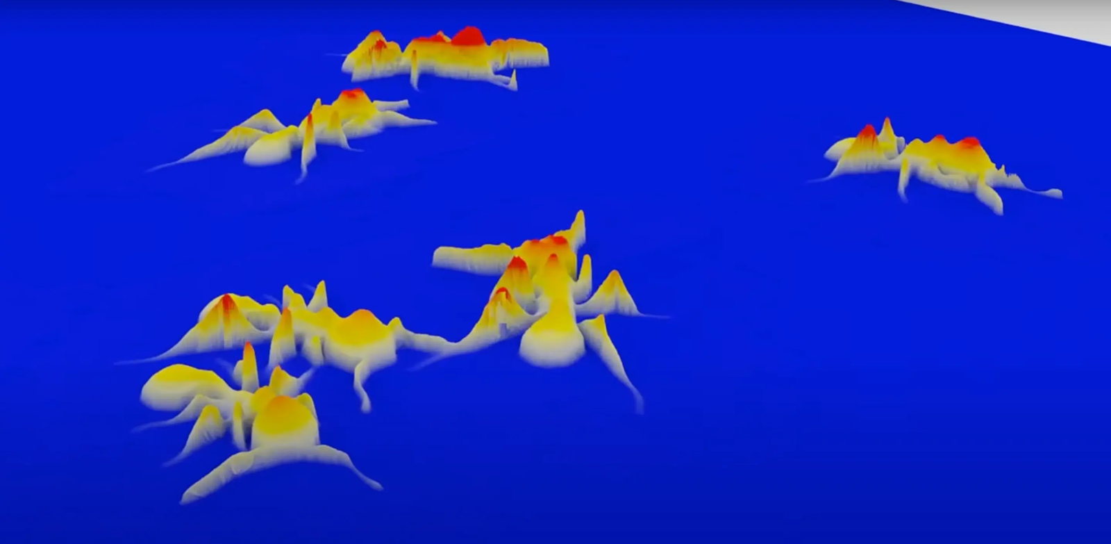 Le MCAM permet de capturer sur une grande surface des vidéos en 3D d’insectes avec une résolution inégalée. © Duke