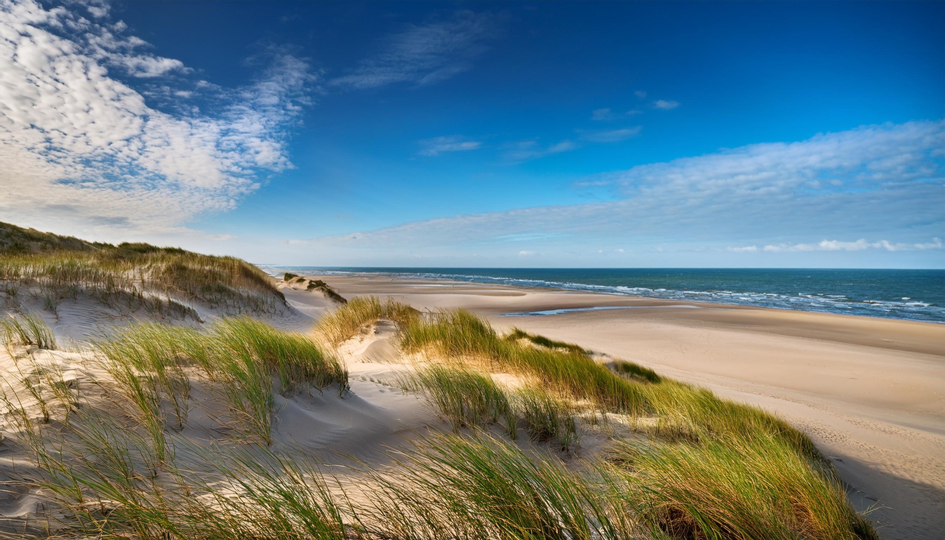 Sous la mer du Nord, des montagnes de sable énigmatiques qui défient ...