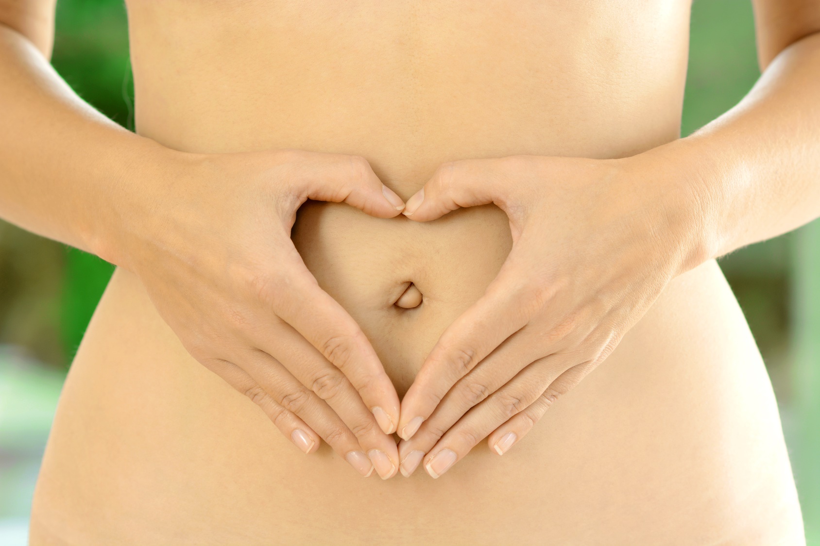 Le mésentère est un organe du système digestif reliant l’intestin aux parois de l’abdomen. © Dan Race, Fotolia