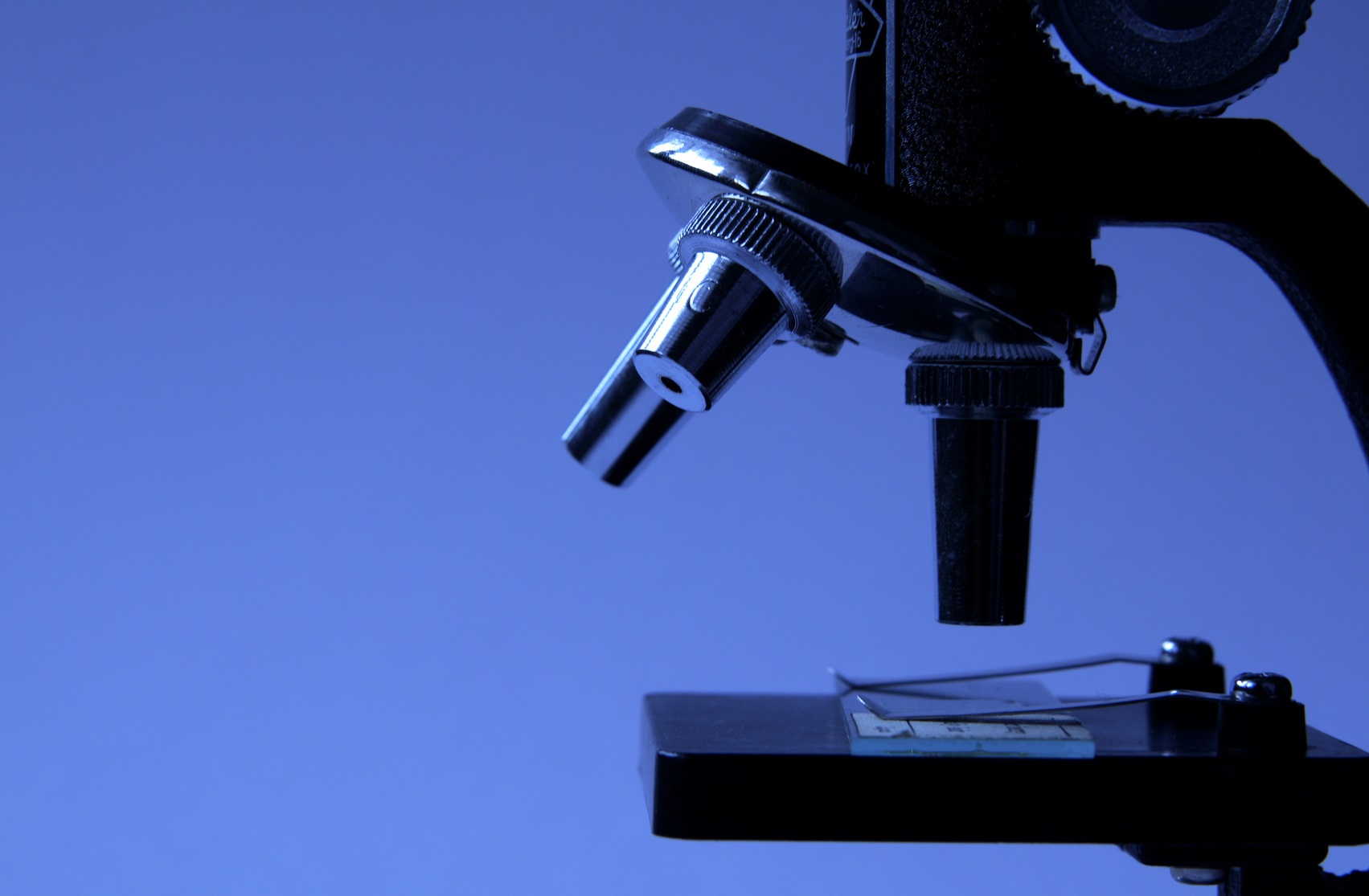 Le bleu de méthylène peut servir de colorant pour visualiser des cellules au microscope. © Mellimage, Fotolia