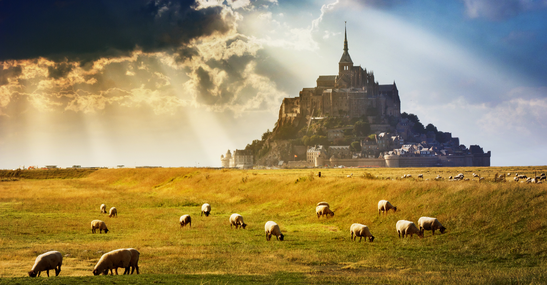 Le Mont-Saint-Michel et ses moutons de pré-salé