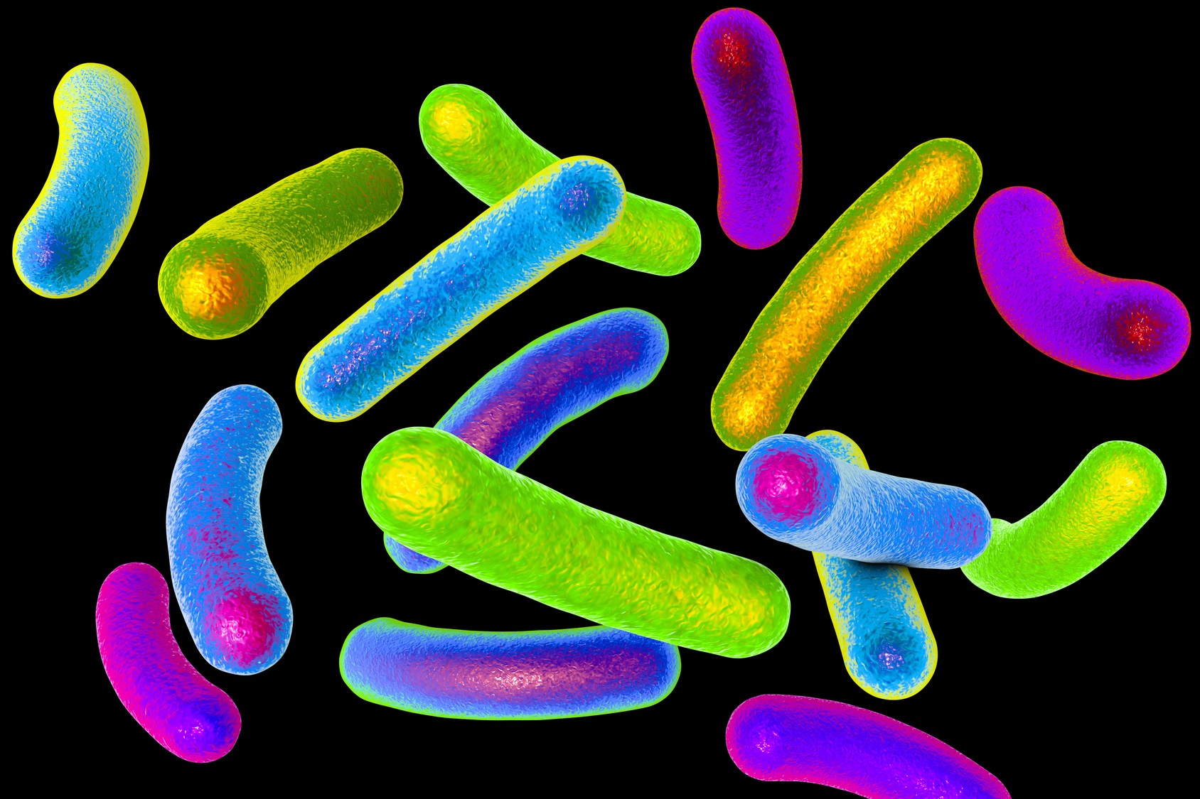 Une célèbre mycobactérie est la bactérie responsable de la tuberculose, un bacille de forme allongée. © Maryna Olyak, Fotolia