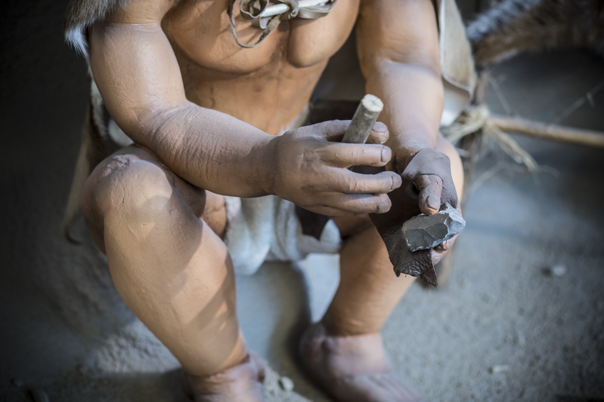 Représentation d'un humain du Néolithique en taille réelle. © Juan Anion, Adobe Stock