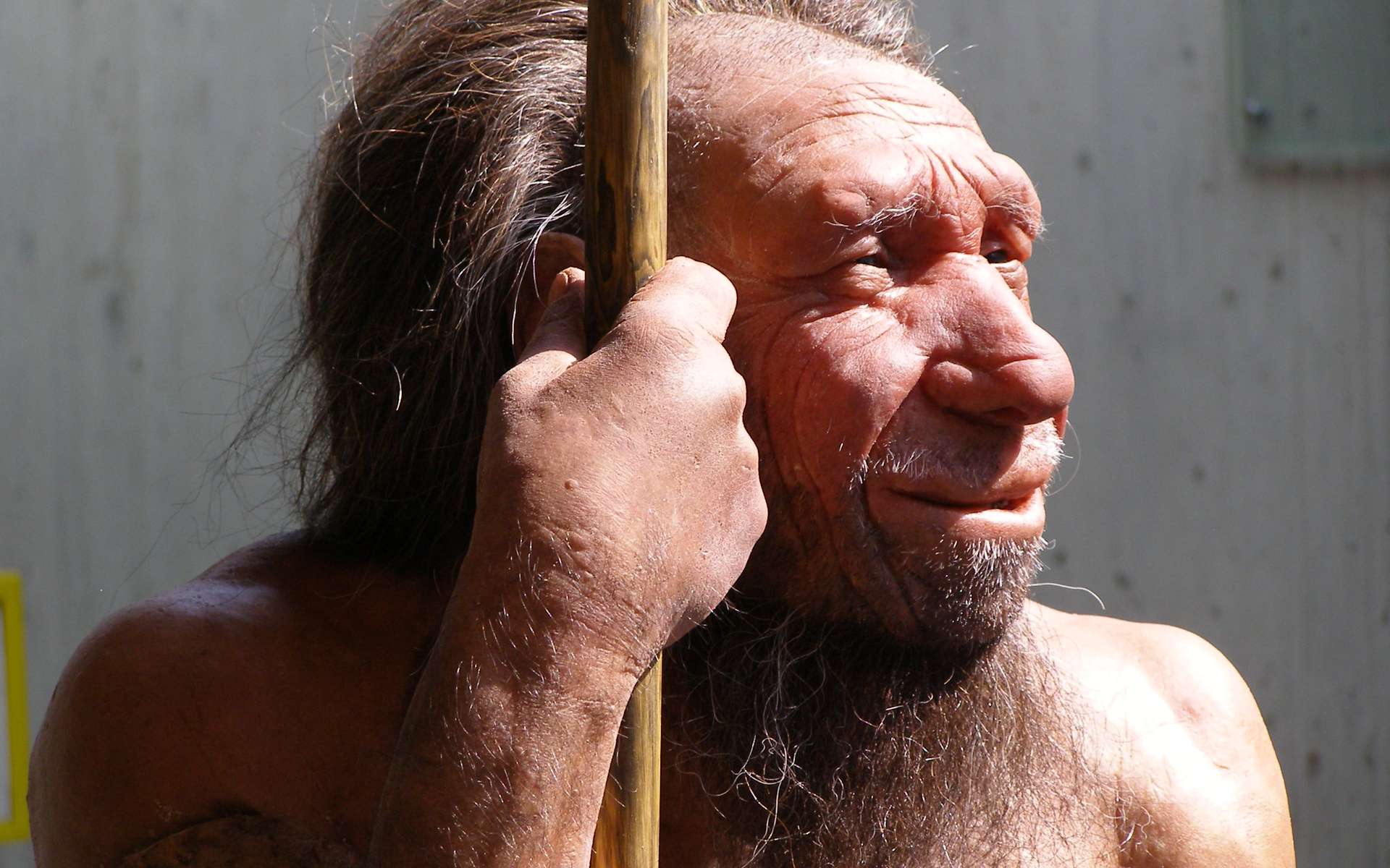 L’Homme de Néandertal ne mangeait pas que des chevaux, des rennes ou des bouquetins. Il semblerait qu’il s’adonnait également au cannibalisme. © Erich Ferdinand, Flickr, CC by 2.0