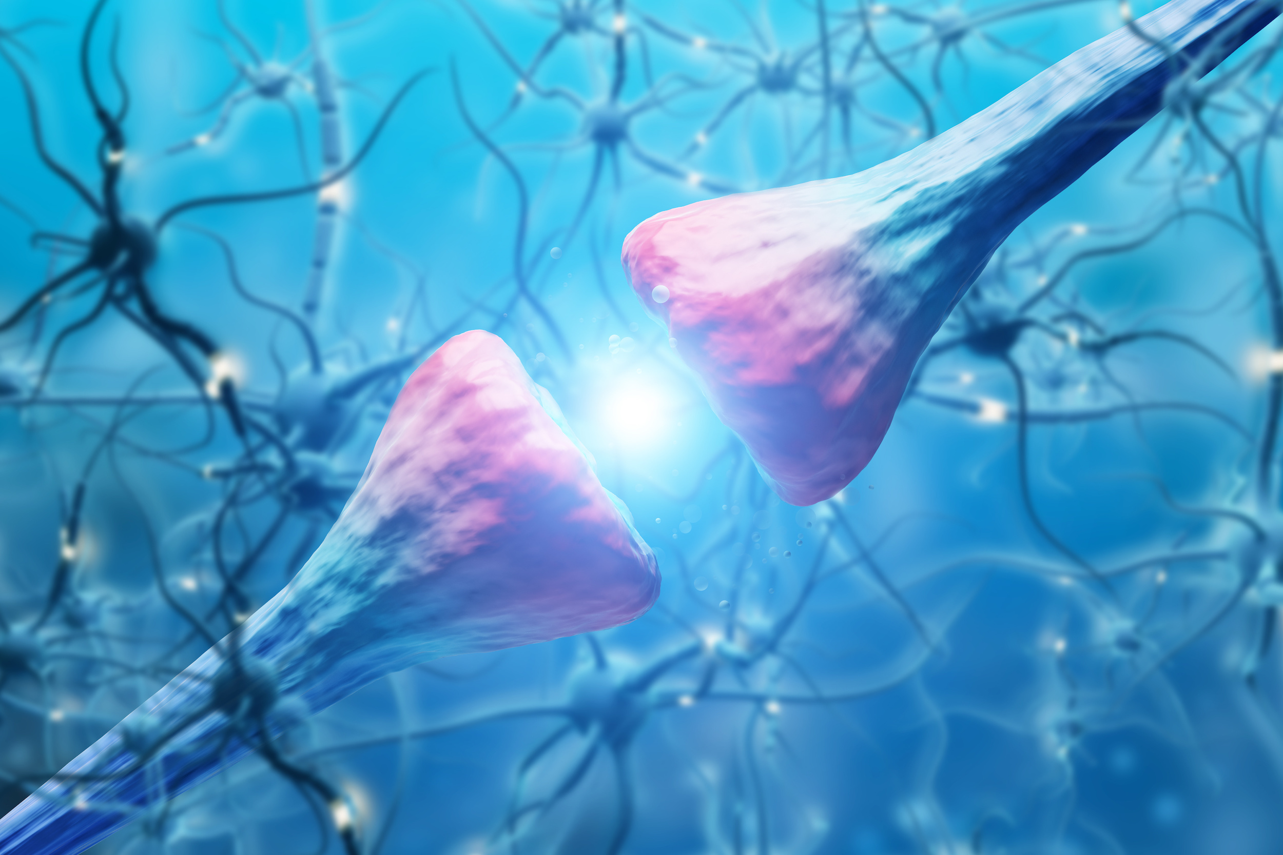 Une nouvelle méthode pour réparer les synapses. ©  ImageFlow, Adobe Stock