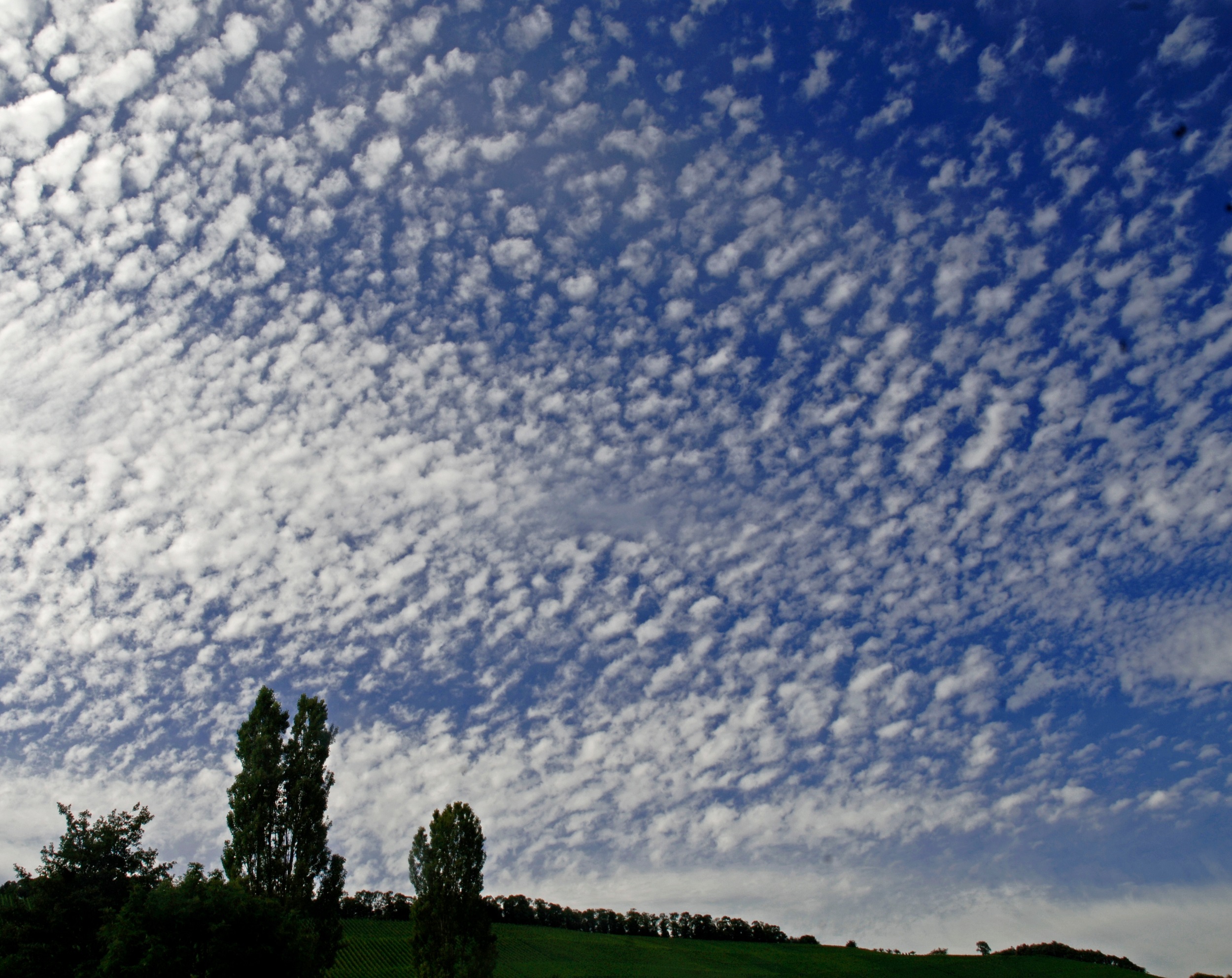 Les nuages moutons indiquent que le beau temps va évoluer vers autre chose le lendemain. © reinhard sester, Adobe Stock
