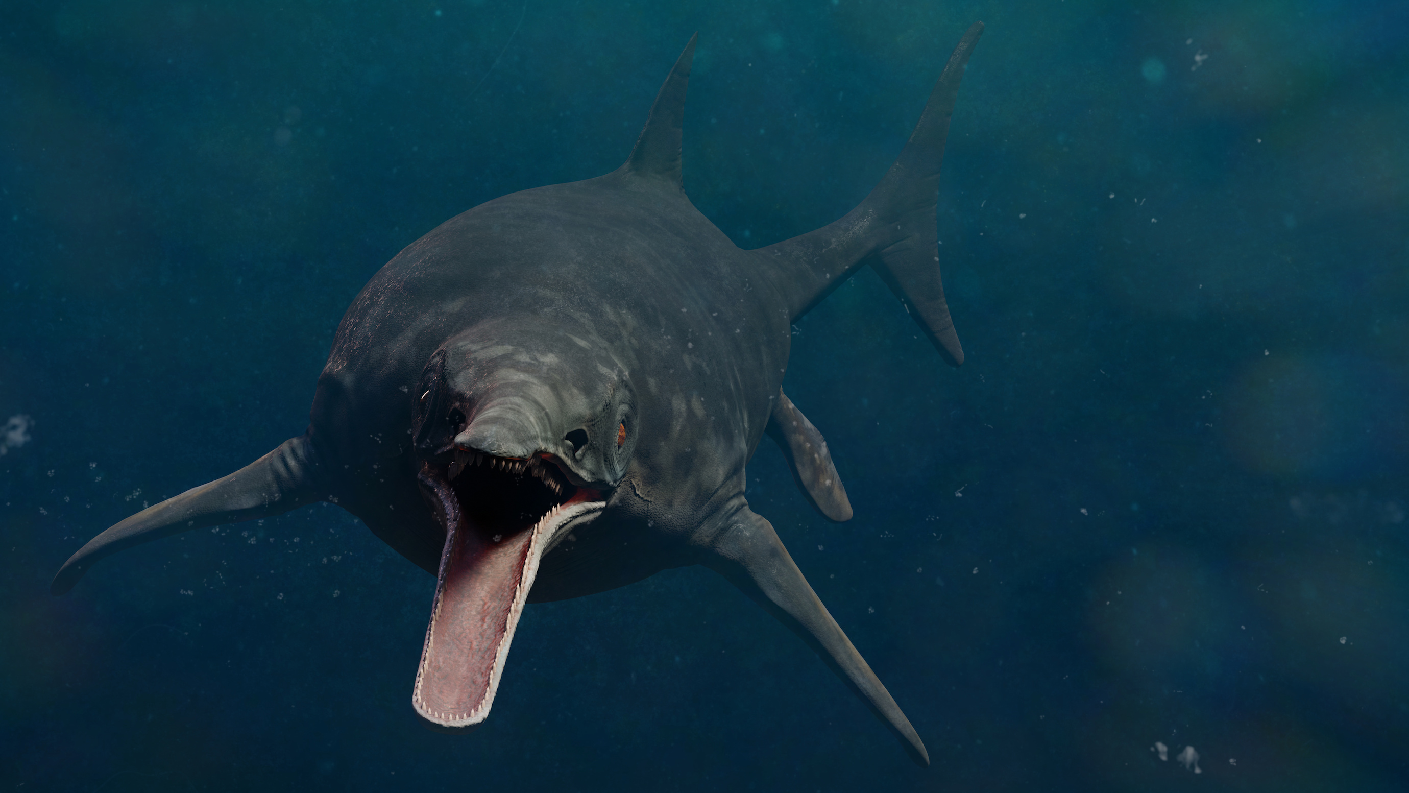 Les ichtyosaures ont été les victimes de l'anoxie qui a frappé les océans il y a 94 millions d'années. © dottedyeti, Adobe Stock