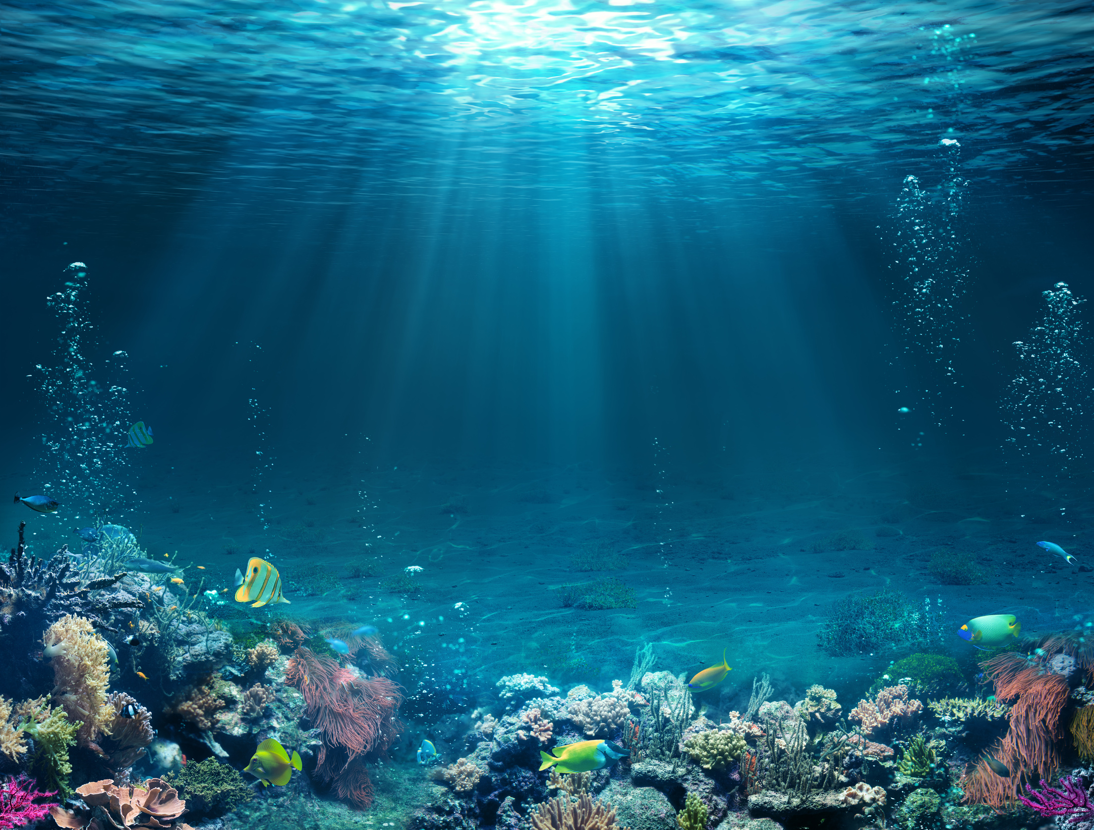 L'océan souffre. Les scientifiques se disent interloqués par l'ampleur, l'intensité et la rapidité du changement. © Romolo Tavani, Fotolia