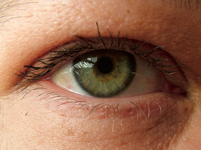 Un examen de périmétrie automatique mesure la sensibilité de l'œil. Il permet notamment de diagnostiquer un glaucome. © Eelco, Flickr, CC by-nc 2.0
