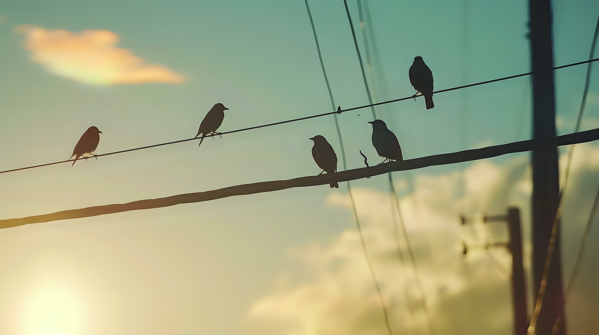 L'électrocution des oiseaux sur les lignes électriques peut être à l'origine de feux de forêts ! © afrah, Adobe Stock