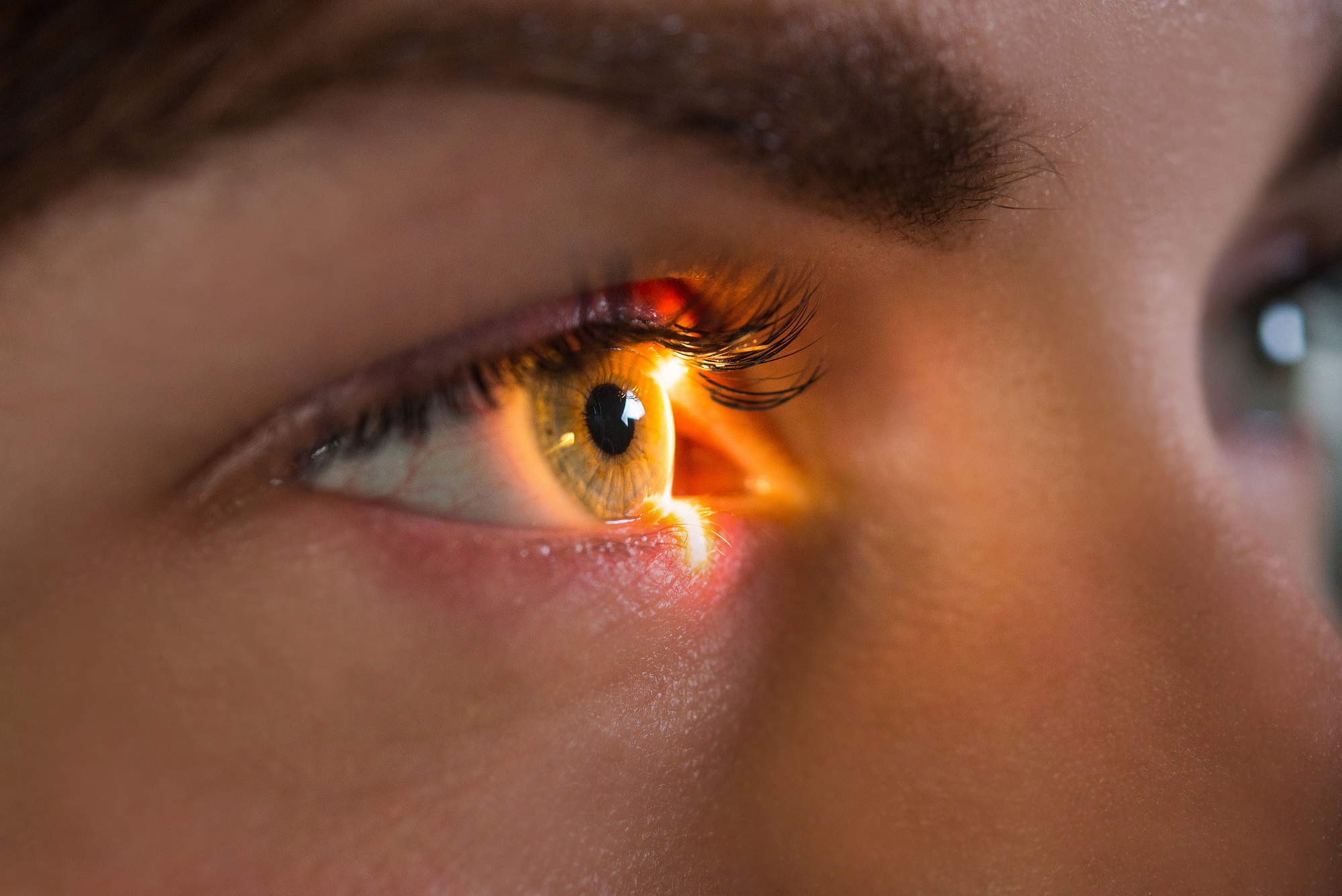 L’ophtalmologue diagnostique et traite toutes les pathologies de&nbsp;l’œil ou de la vision. © Анна Ковальчук, Adobe Stock.