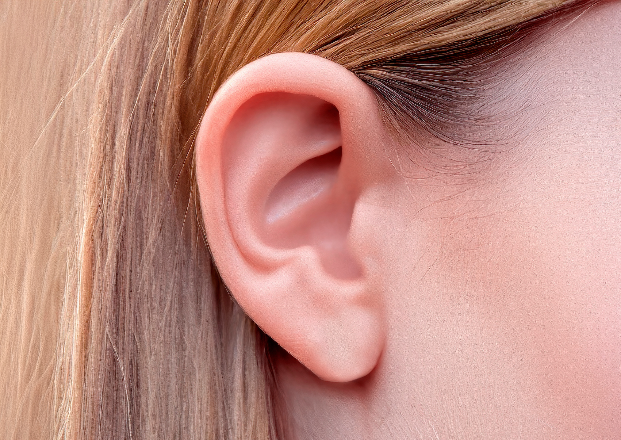 L’analyse de la composition du cérumen des oreilles permettrait de détecter la maladie de Parkinson. © António Duarte, Adobe Stock
