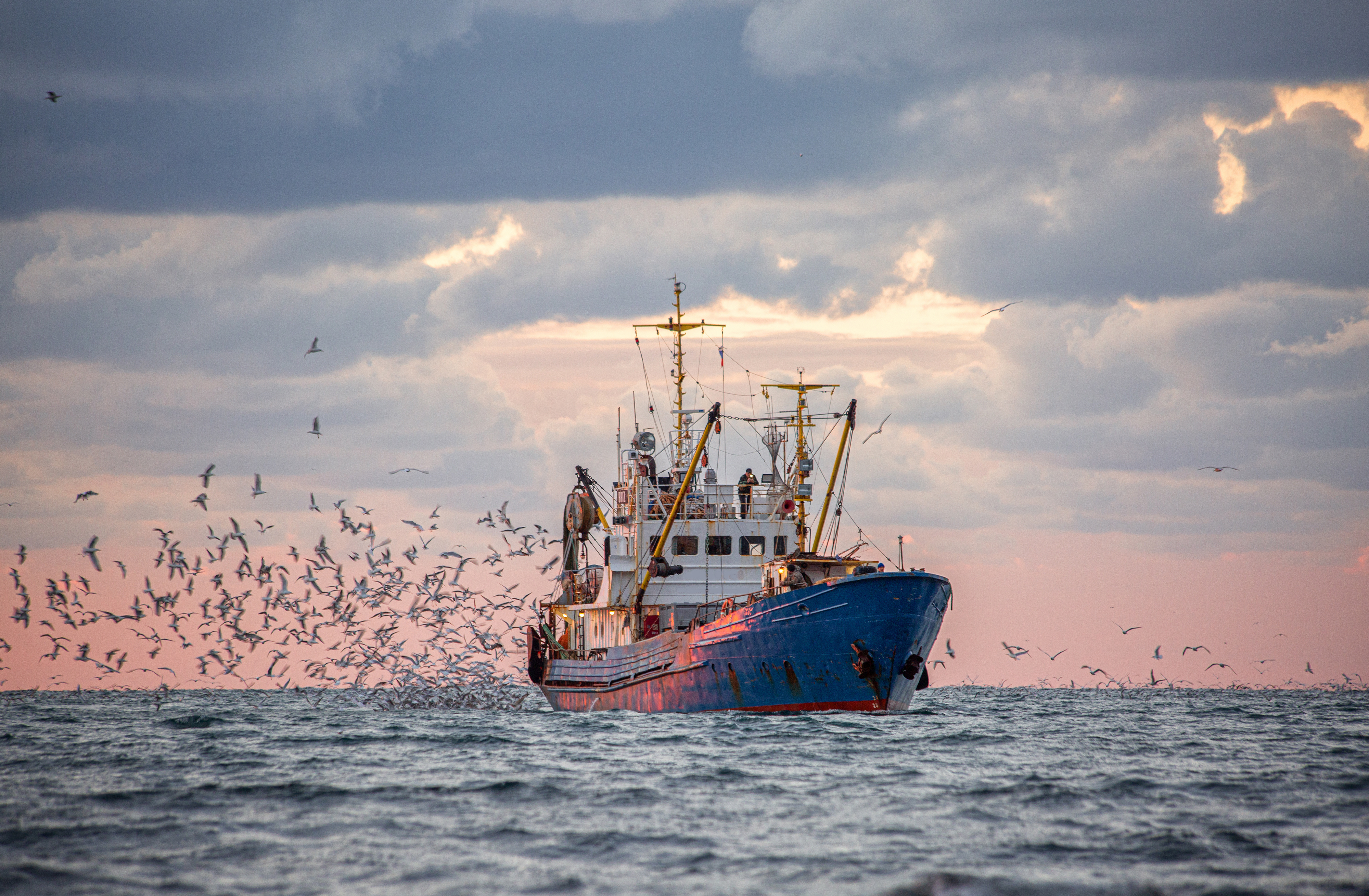 La pêche au chalut est un désastre écologique, tant sur le plan social qu’environnemental. © Анна Костенко, Adobe Stock
