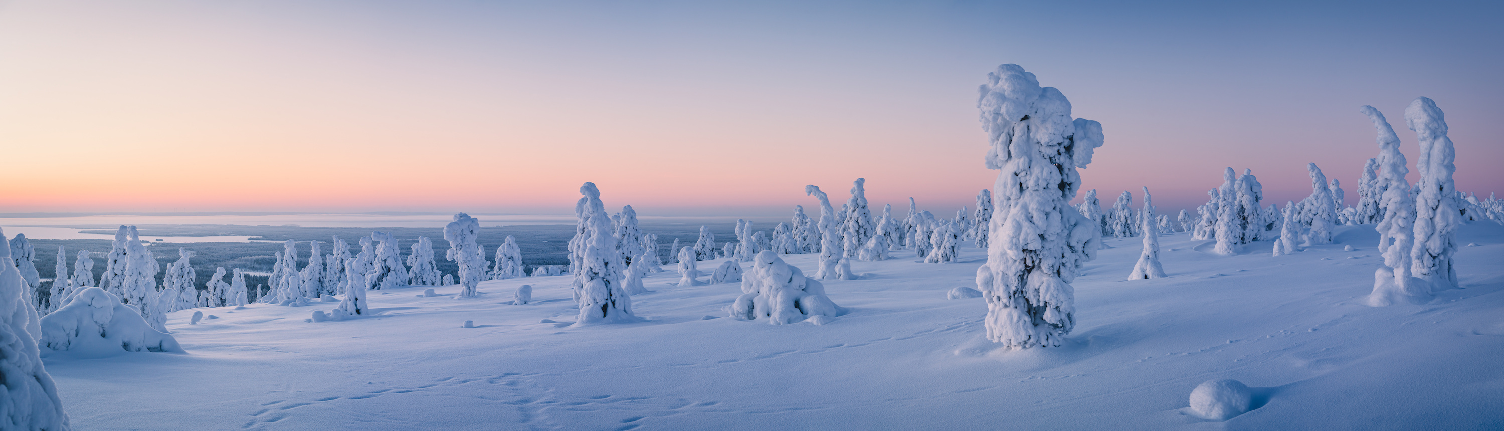 Paysage enneigé du cercle arctique en Finlande. C'est ici qu'a été découvert un important site archéologique datant de 6 500 ans. © Jamo Images, Adobe Stock