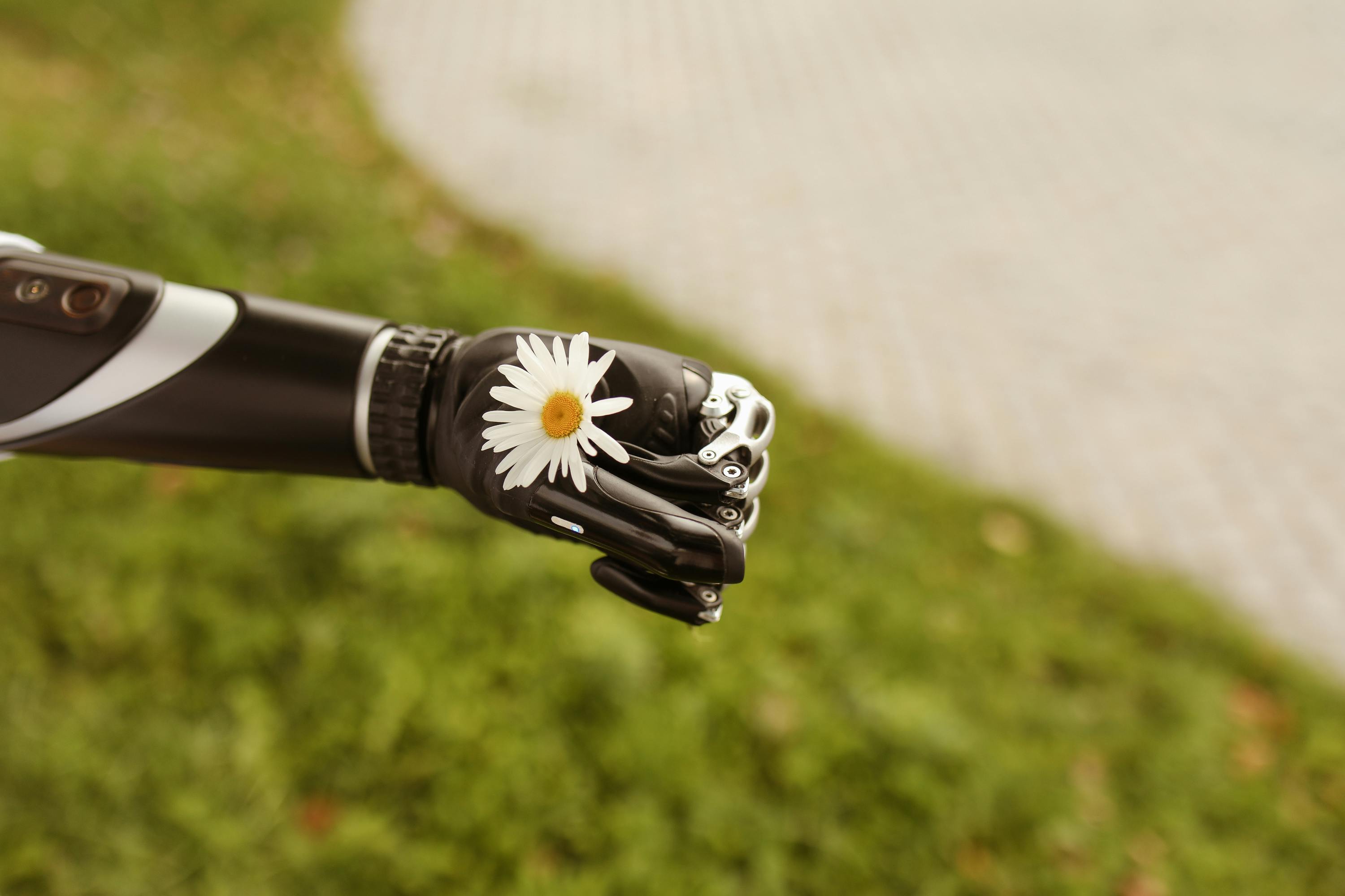 Pollinisation artificielle : des robots pour polliniser les fleurs ?