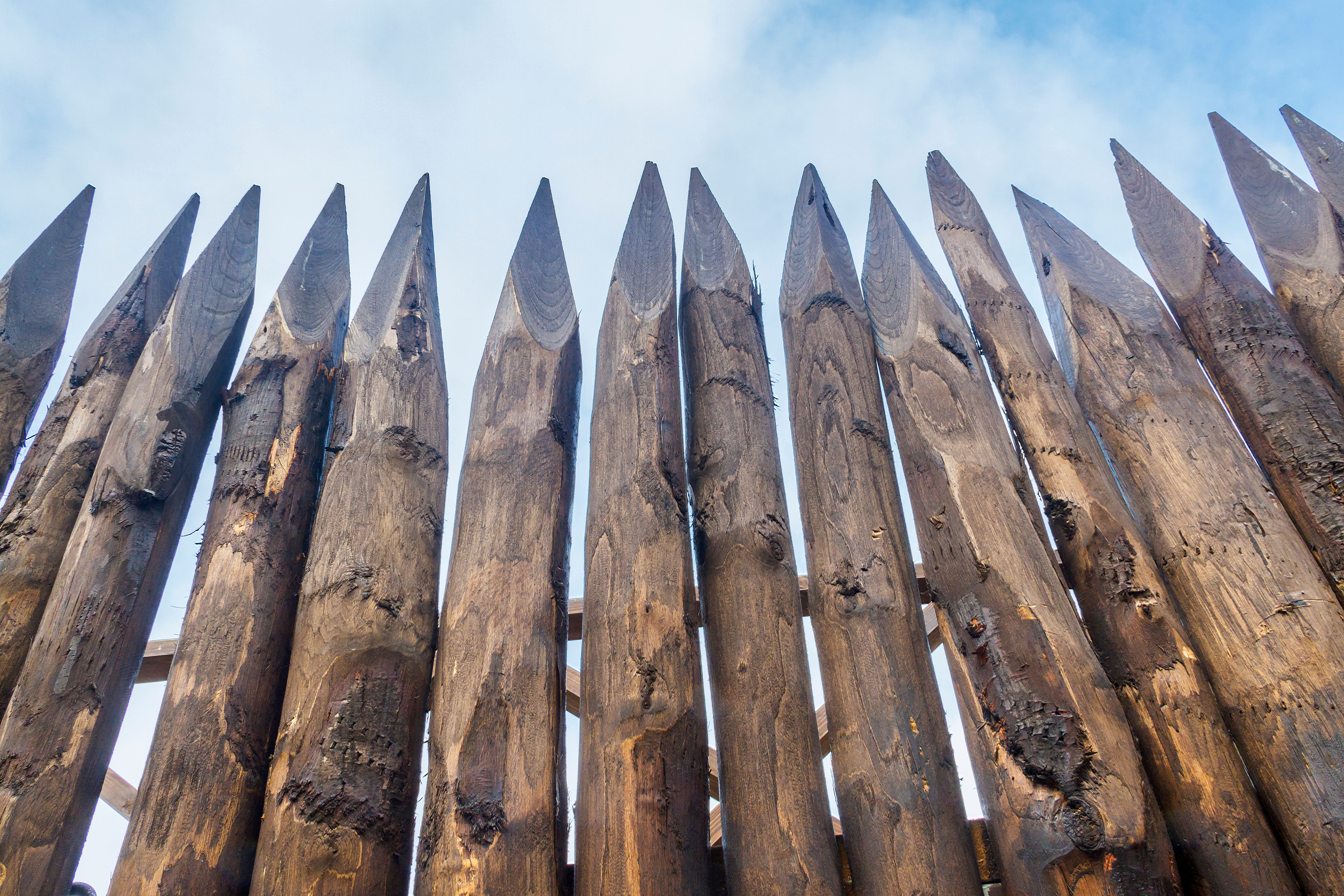 La découverte de pieux en bois révèle un système de fortifications sophistiqué © Arousa, Adobe Stock