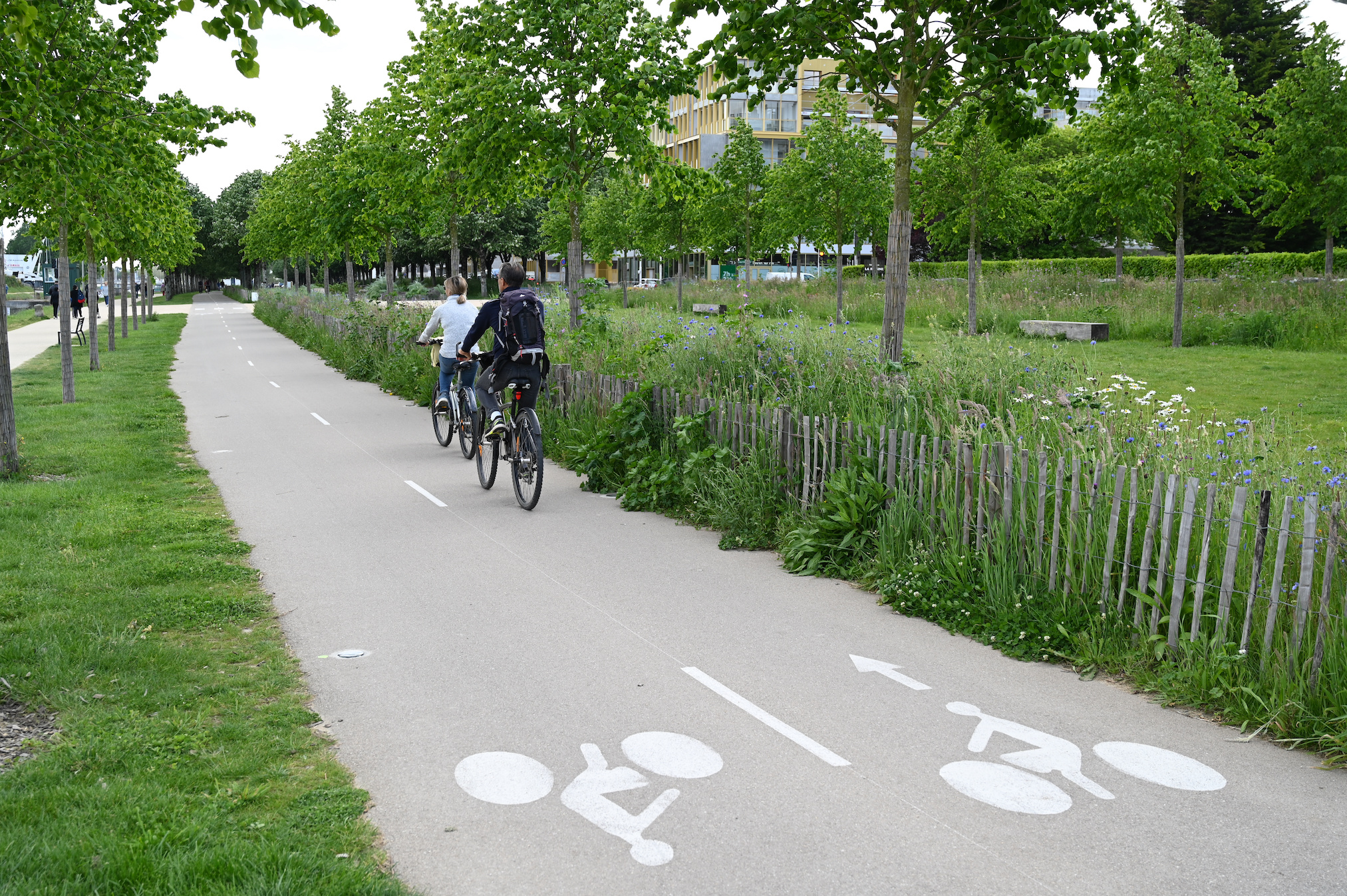 Les pistes cyclables renforcent la sécurité et encouragent à adopter la mobilité à vélo. © Richard Villalon, Adobe Stock