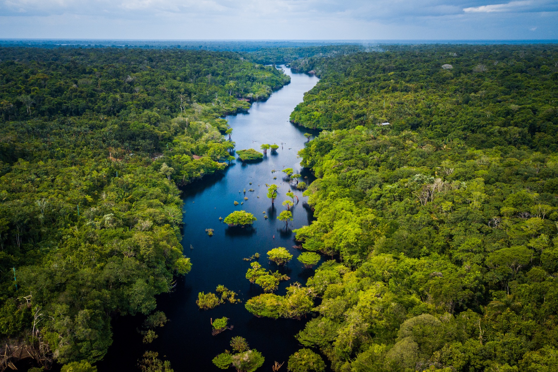 En l'espace de 18 ans, la forêt amazonienne a perdu une surface équivalente à celle de l'Espagne. © Marcio Isensee e Sá, Adobe Stock 