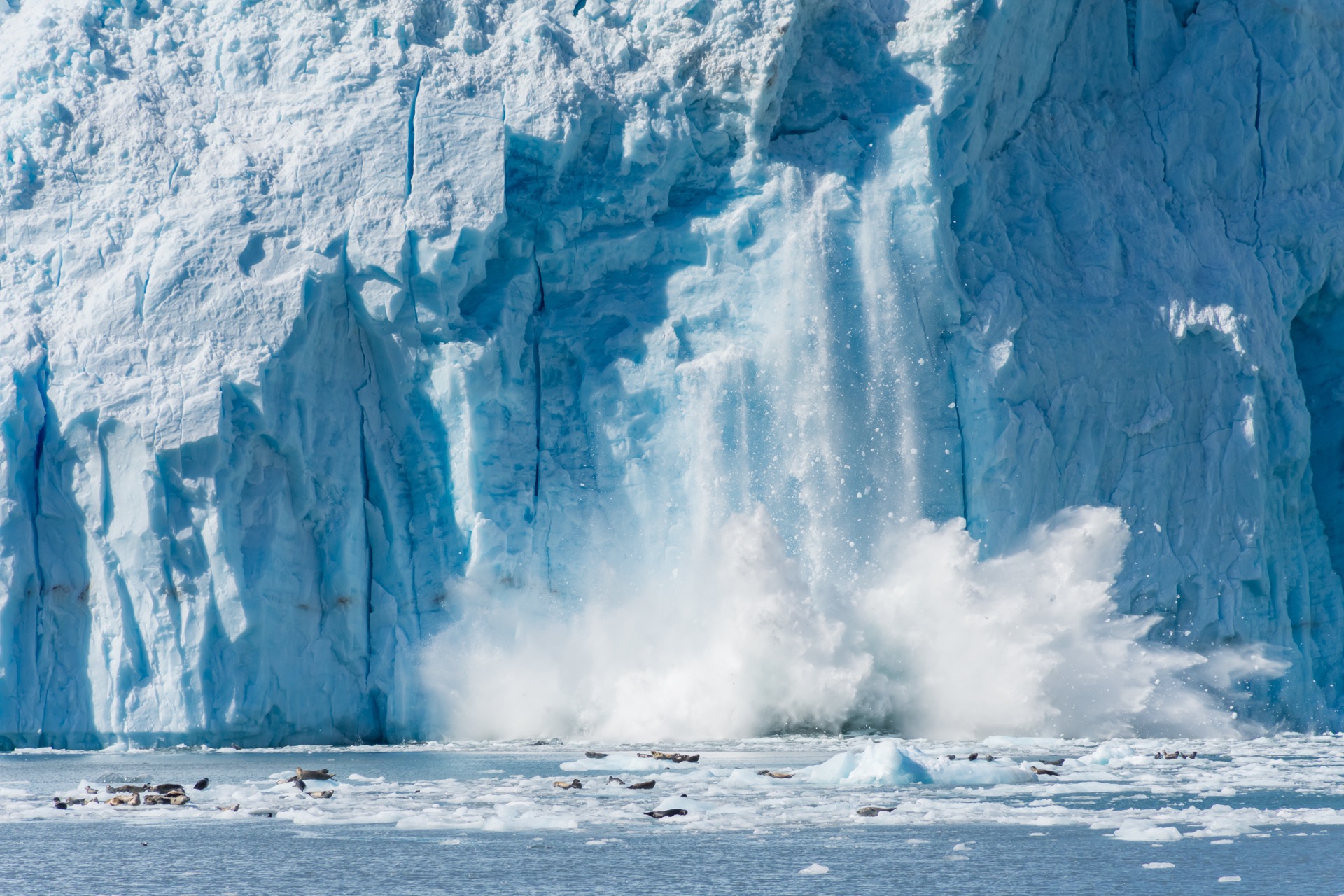 La banquise de l'arctique a été à son deuxième niveau le plus bas. ©  Shutterhold, Adobe Stock