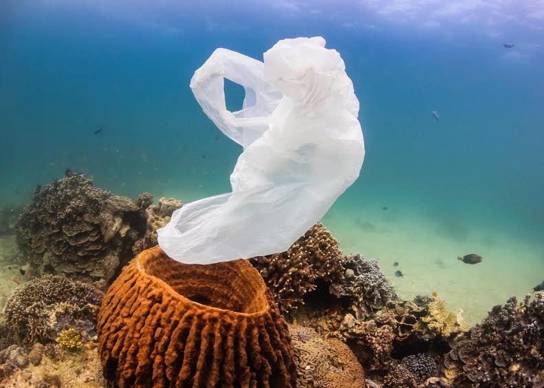 Chaque année, 8 millions de tonnes de déchets de matière plastique atteignent l'océan, où cette masse s'accumule en se fragmentant. Si des efforts sont faits pour augmenter la part du recyclage, explique le rapport publié pour le forum de Davos, ce flux se réduira mais ne s'annulera pas et la quantité de plastique dans l'océan continuera d'augmenter. La solution est un recyclage systématique. © Richard Whitcombe, Shutterstock