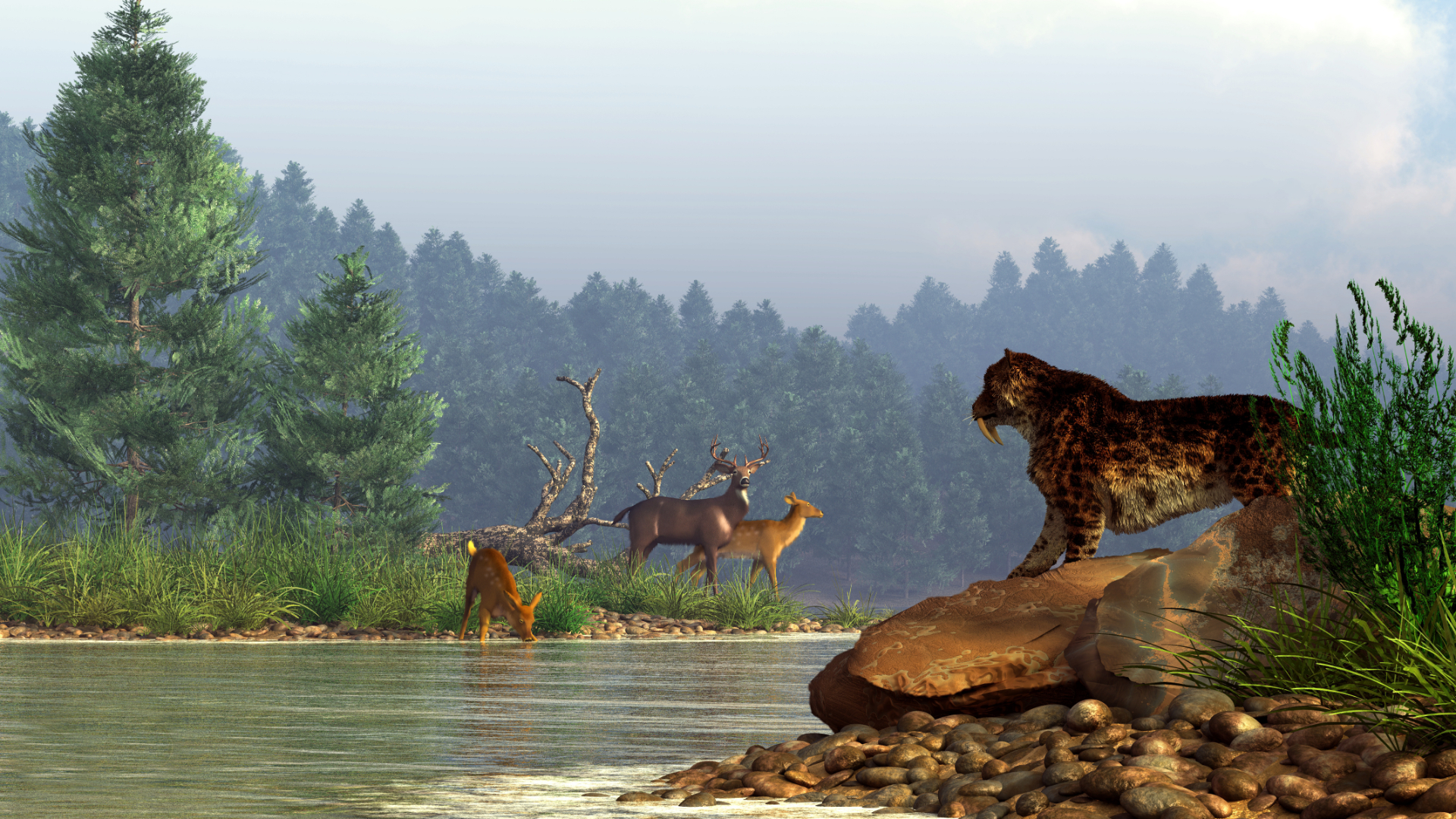 Illustration d'une scène du Pléistocène. Un tigre à dents de sabre regarde des cerfs au bord d'une rivière. © Daniel, Adobe Stock