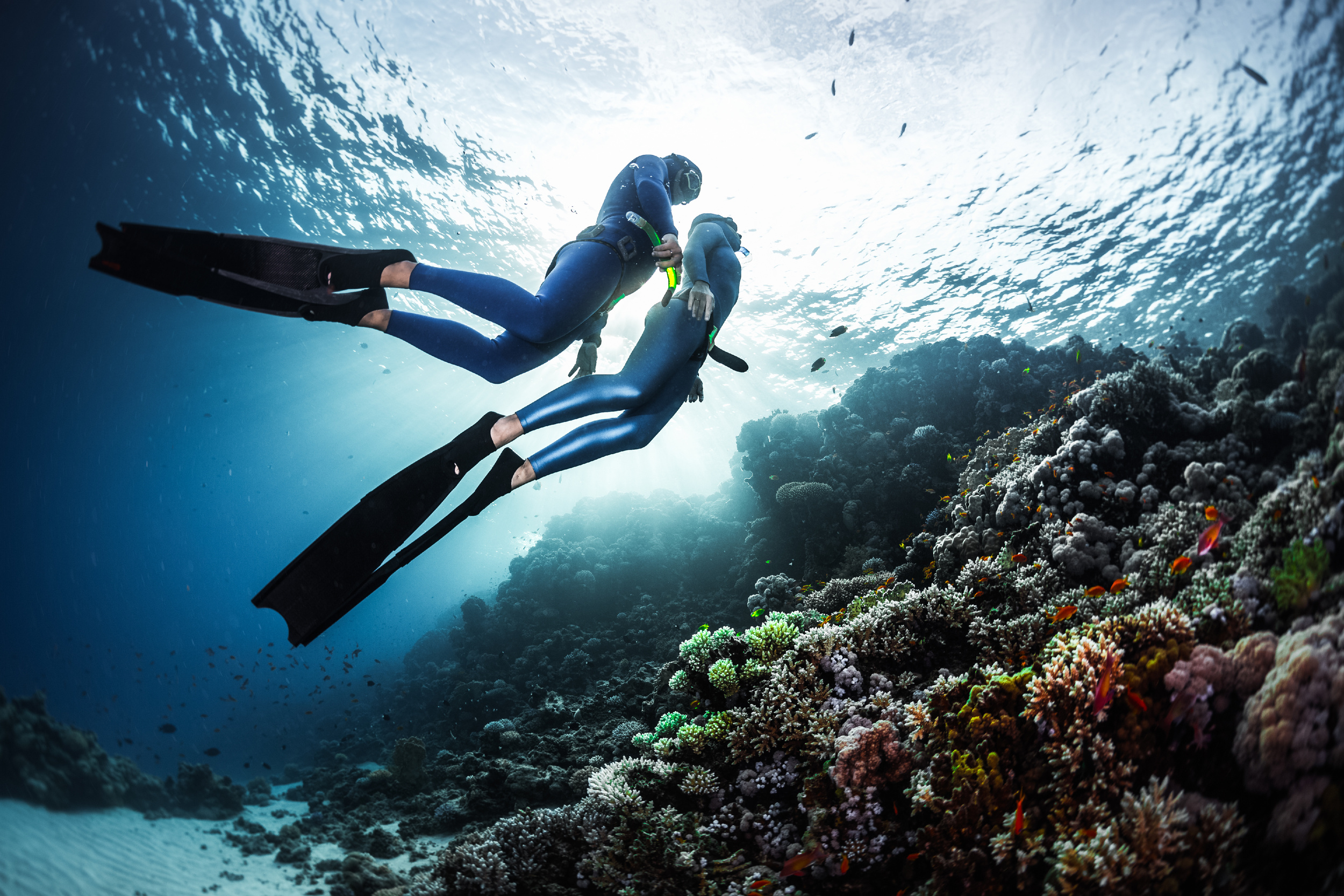 Avant chaque plongée, les Haenyeo invoquent la protection de Jamsugut, la déesse de la mer, pour veiller sur elles et leur offrir une pêche généreuse. © Dudarev Mikhail, Adobe Stock