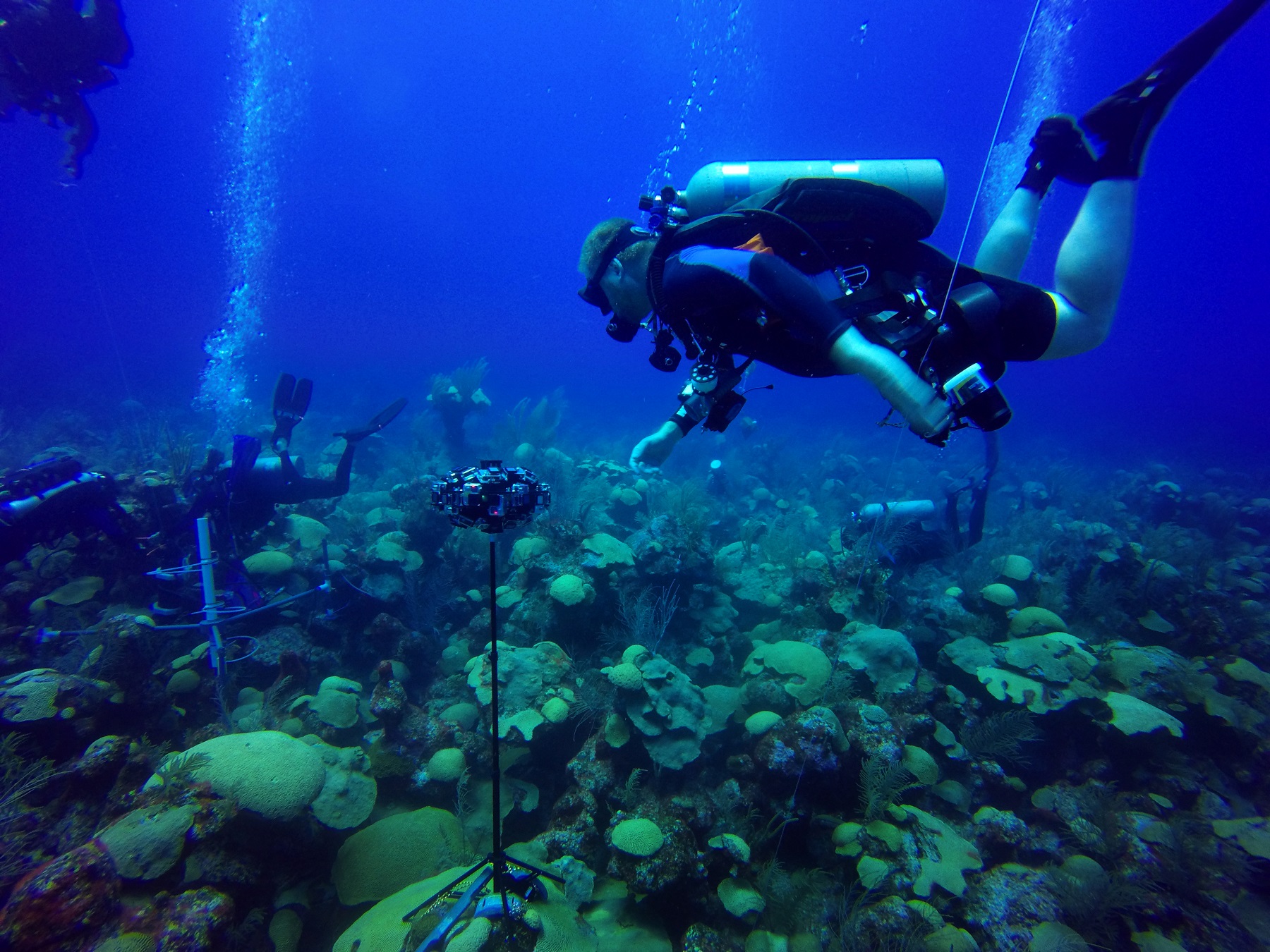 Une équipe de plongeurs étudie les fonds sous-marins. © Nekton 2018