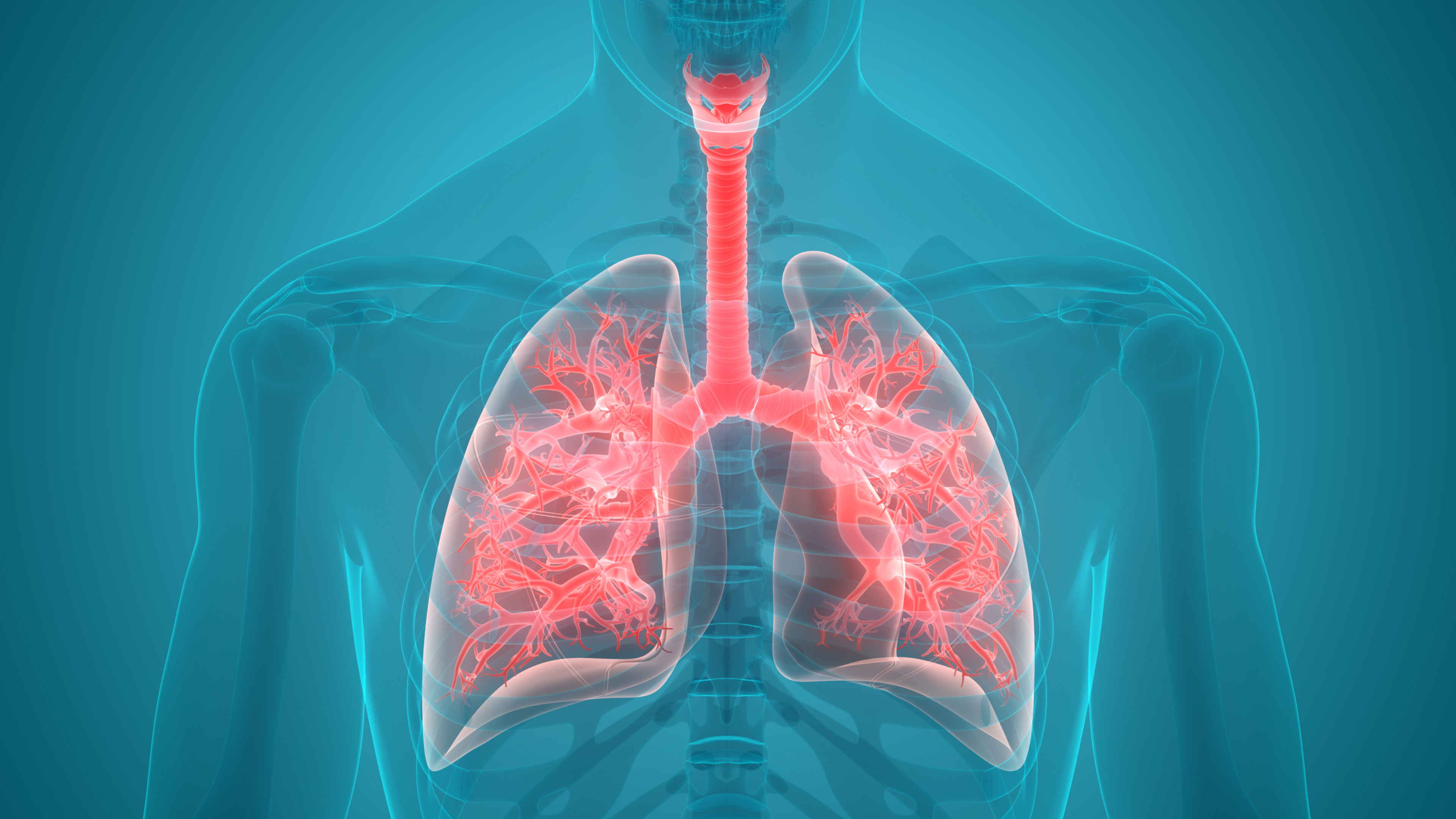 Micrographie d'un échantillon de tissu pulmonaire montrant la présence de Pneumocystis jirovecii, l'agent responsable de la pneumocystose, mettant en évidence les défis posés par cette infection pulmonaire opportuniste chez les individus immunodéprimés. © magicmine, Adobe Stock