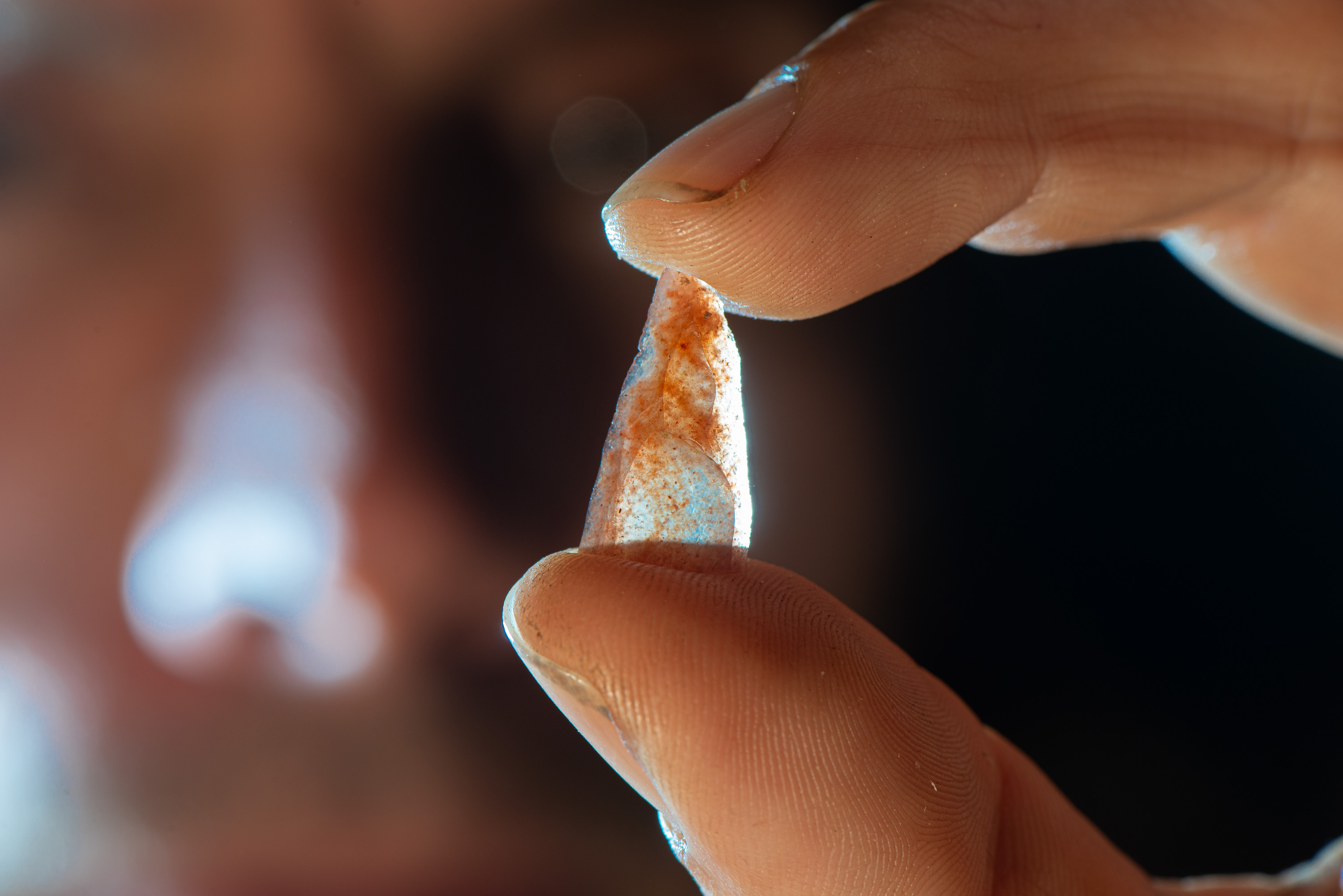 Le Dr Ludovic Slimak montrant une nanopointe néronienne trouvée dans la couche E de la grotte Mandrin. Les études de ces points lumineux montrent que ces minuscules pointes ont été utilisées comme pointes de flèches il y a 54 000 ans en France méditerranéenne. © Philippe Psaila
