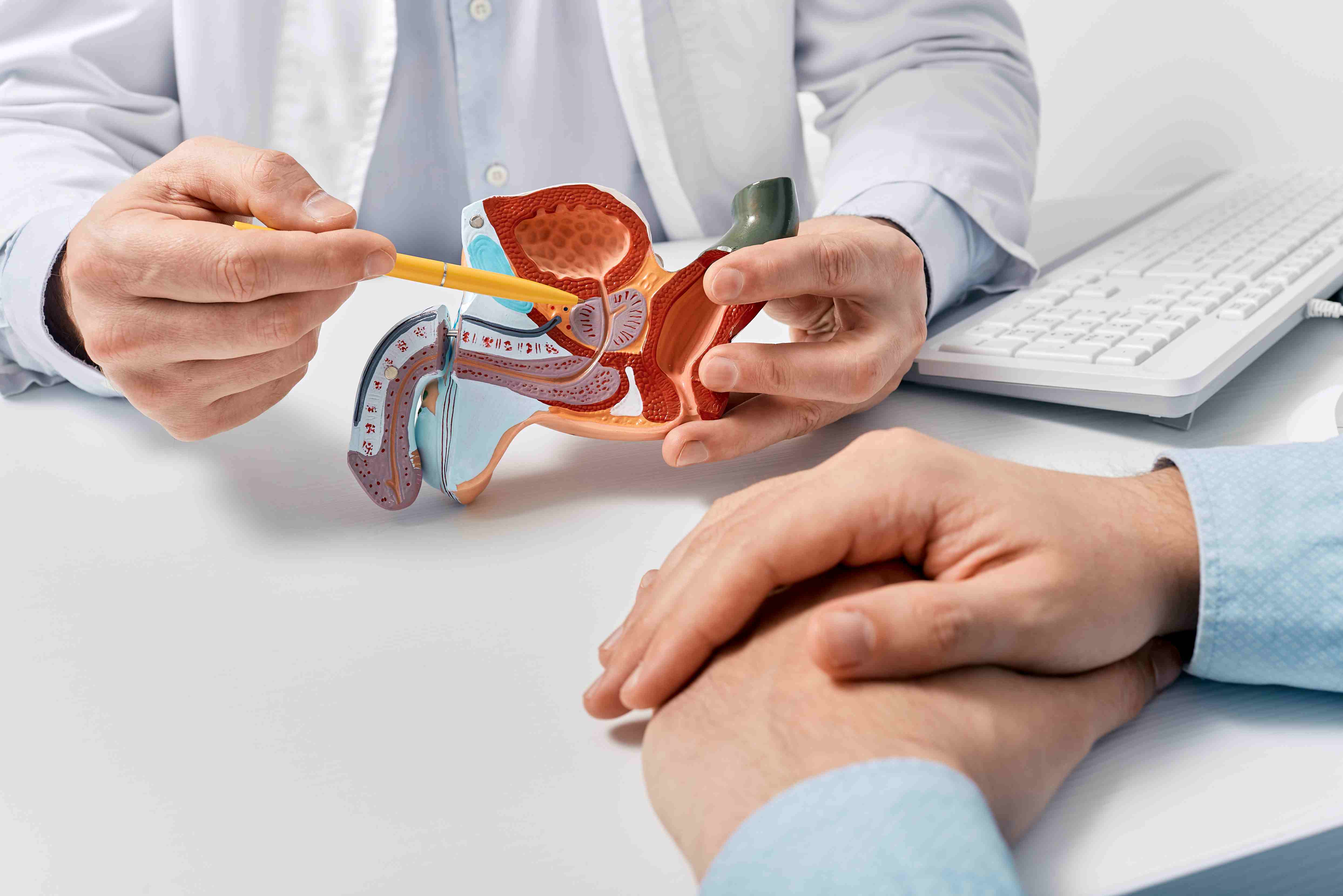 L’éjaculation, phénomène physiologique, consiste en une émission par les différents organes sexuels (prostate, vésicules séminales) d’un liquide biologique, le sperme, qui a lieu généralement au cours de l’orgasme masculin. © Peakstock, Adobe Stock