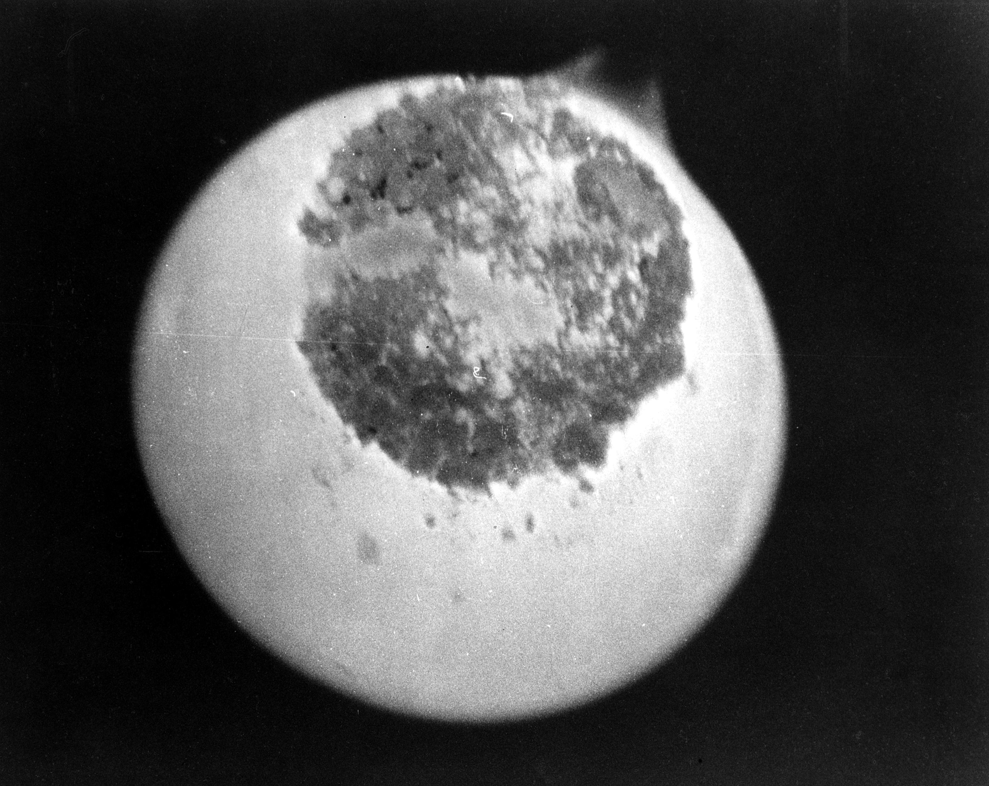Échantillon de protactinium 233 (zone sombre au centre). © Energy.gov, Wikimedia Commons, DP