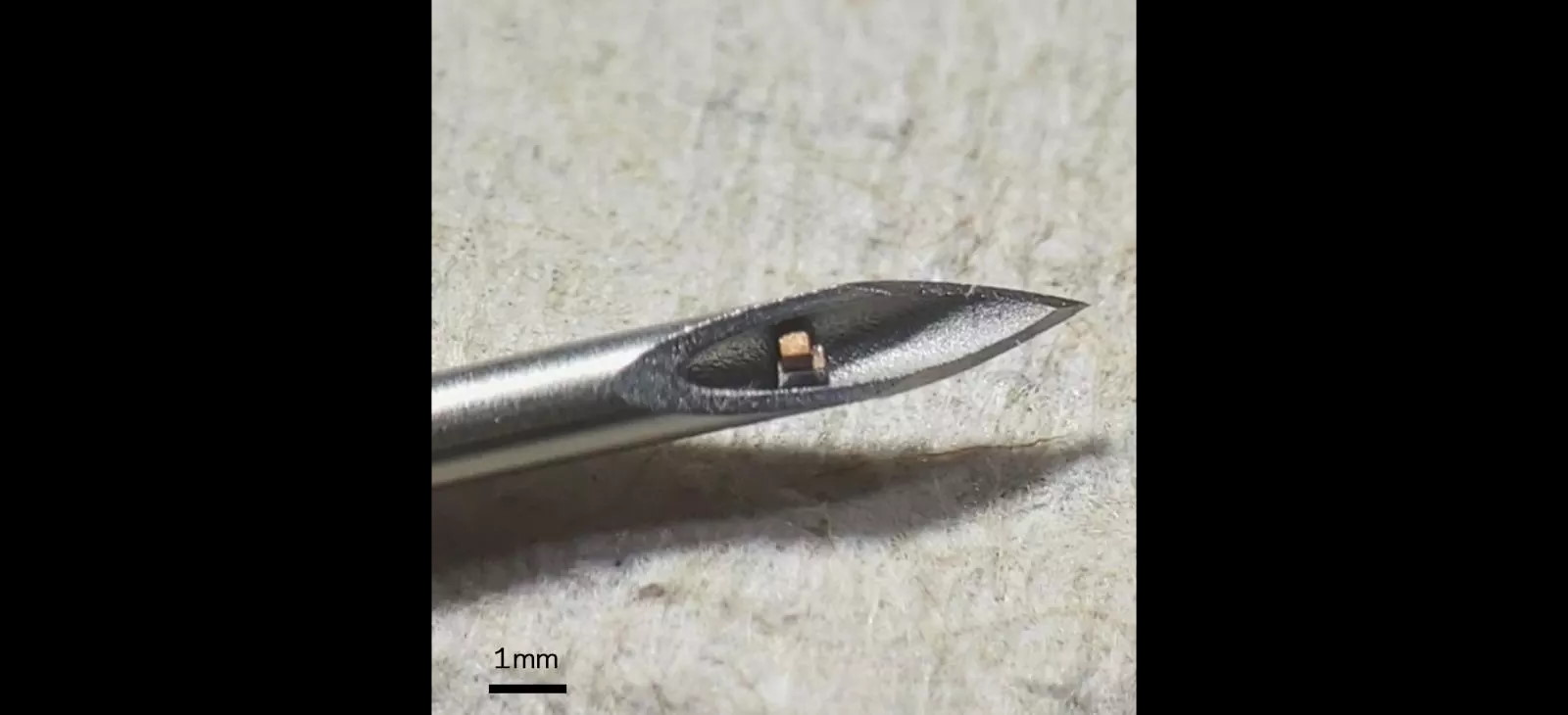 Cette puce mesure moins de 0,1 mm³. © Chen Shi, Columbia Engineering