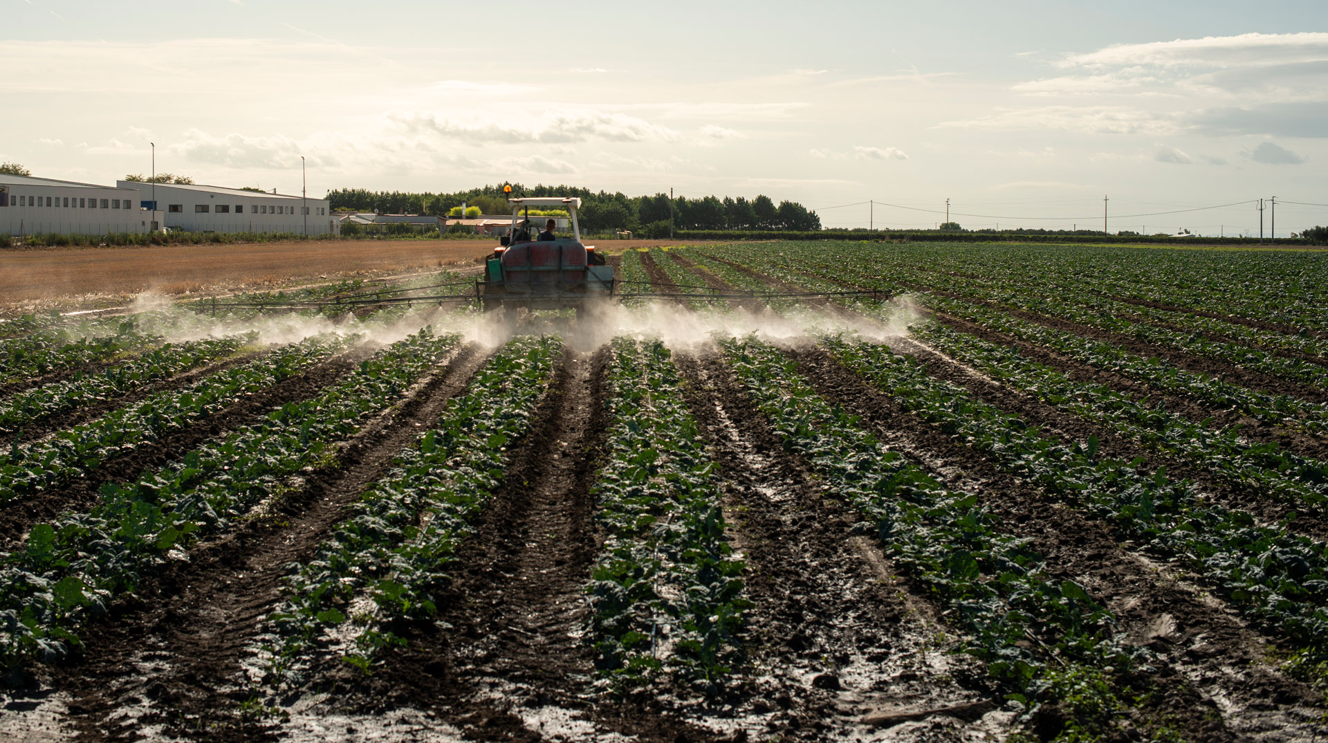 Un tracteur pulvérise des pesticides sur un champ ©deyangeorgiev, Envato elements