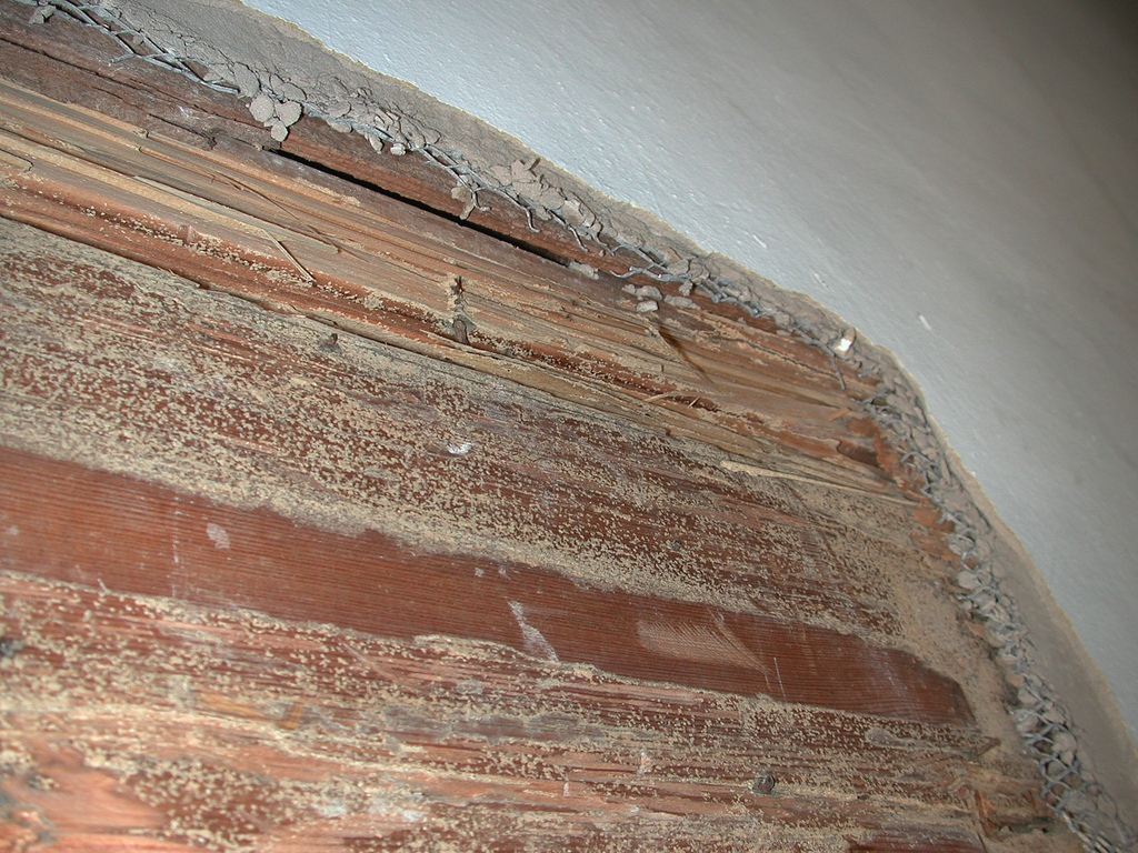 Le diagnostic termite permet de confirmer une impression visuelle de la présence de termites. © Editor B, flickr, CC BY 2.0