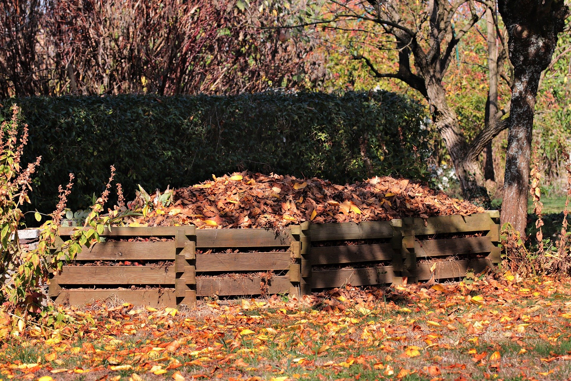 Idéal, le compost de jardin. © Pixel2013, Pixabay, DP