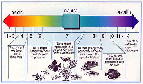 Taux de pH de l'eau, de l'eau acide à alcaline. © aquatic-garden.be
