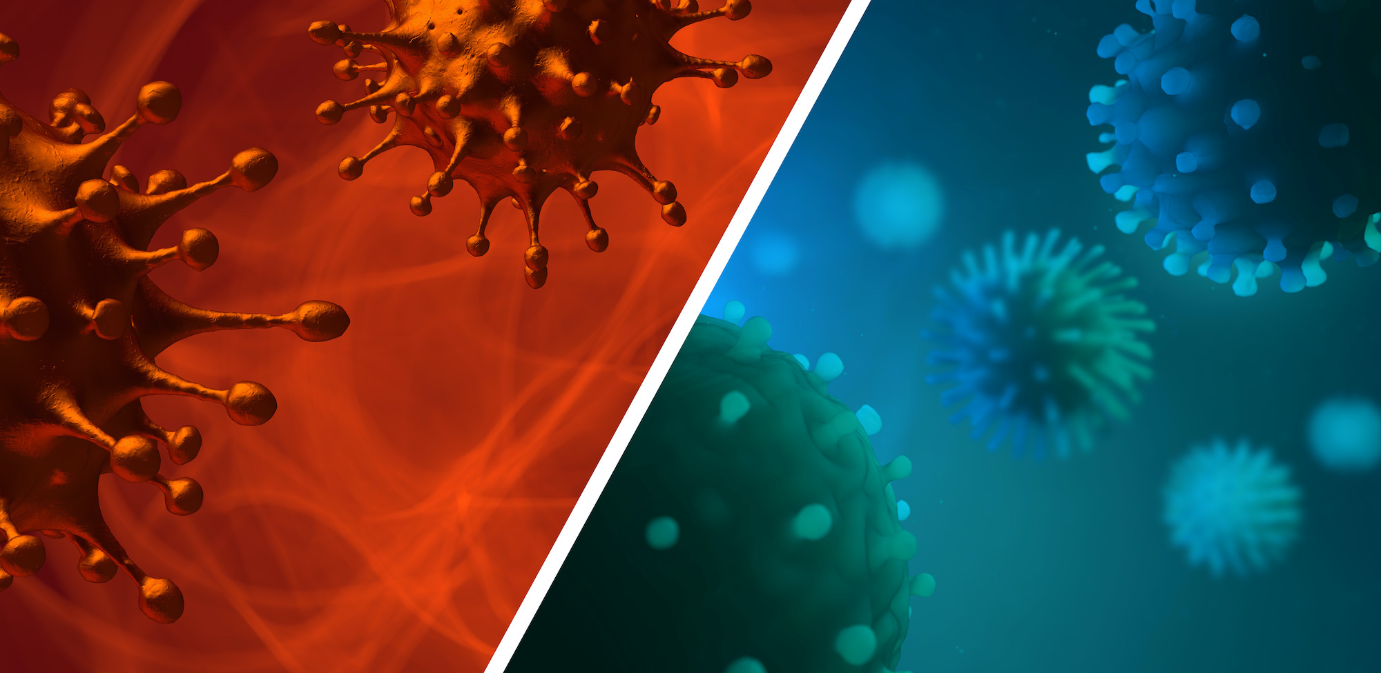 Comparaison entre la grippe et la coronavirus. © CROCOTHERY, Adobe Stock