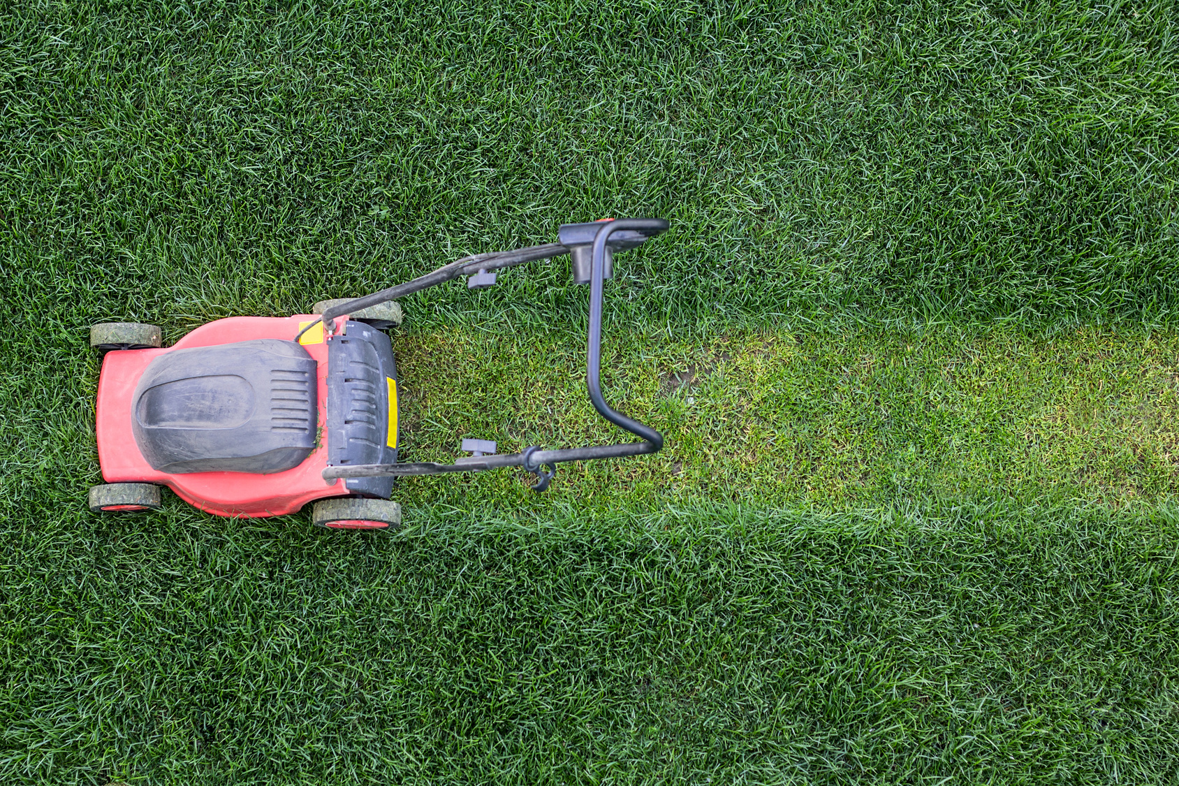 Comment bien tondre la pelouse ? © Serg Salivon, Fotolia