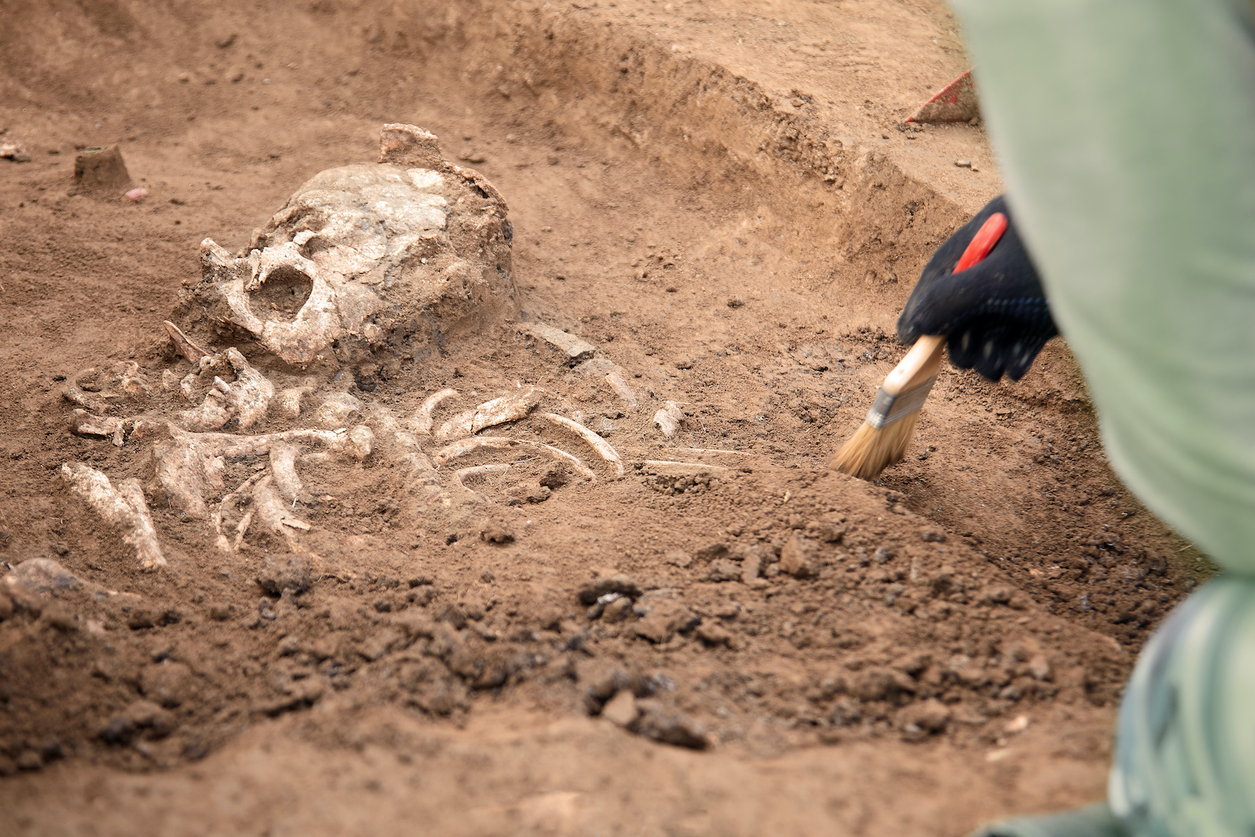 L’archéologie étudie la culture humaine passée grâce à des objets découverts sur le terrain. © Elena, Adobe Stock