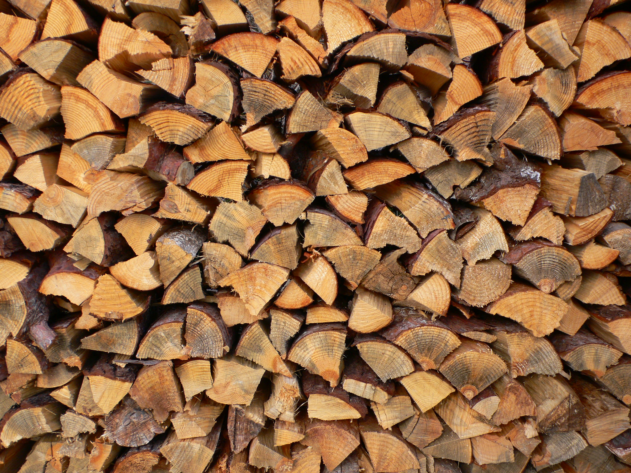 Un bois est considéré comme sec s’il contient moins de 19 % d’humidité. ©&nbsp;Satoshi KAYA, Flickr