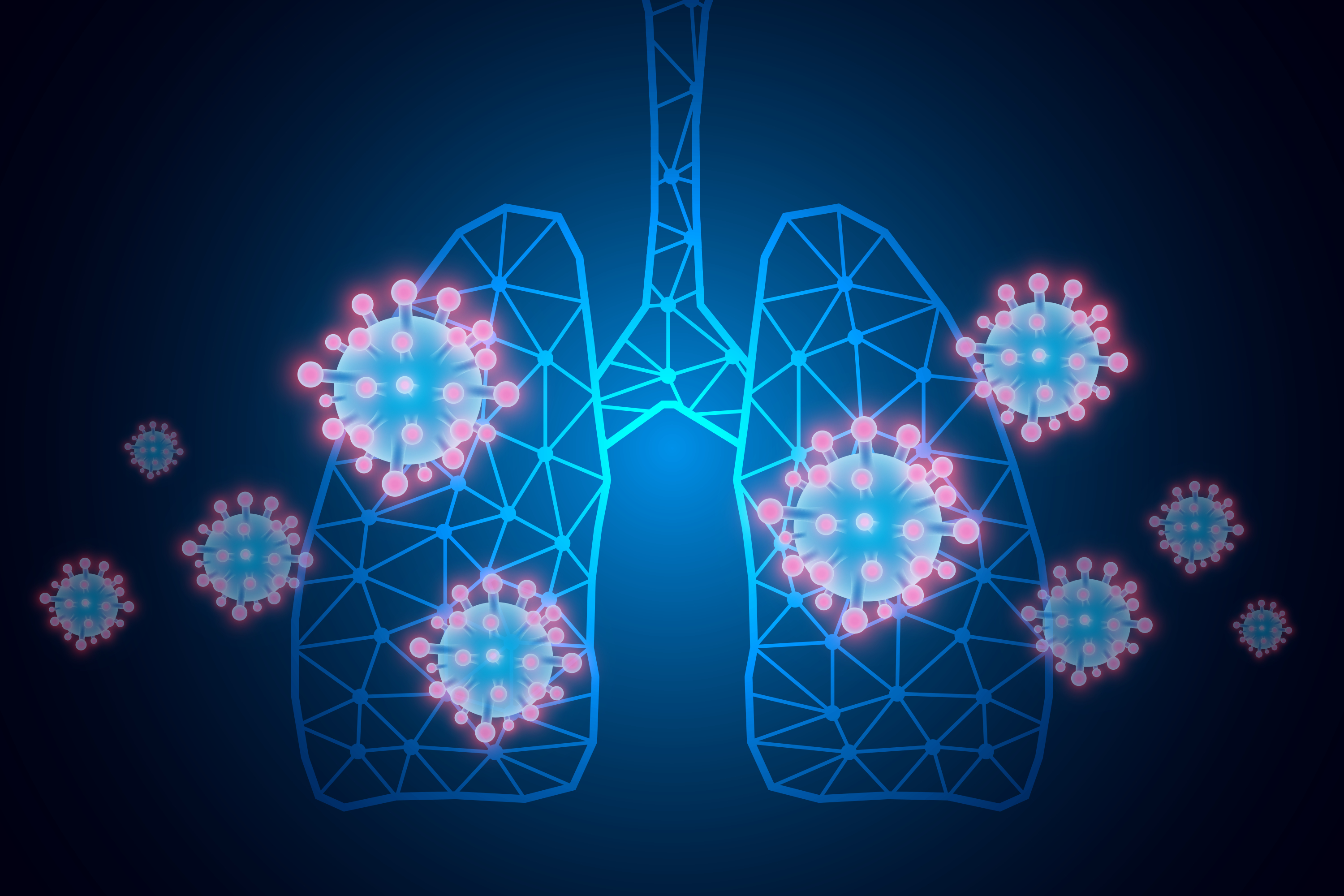 Représentation du SARS-coV-2 dans les poumons. © Suprakrit, Adobe stock