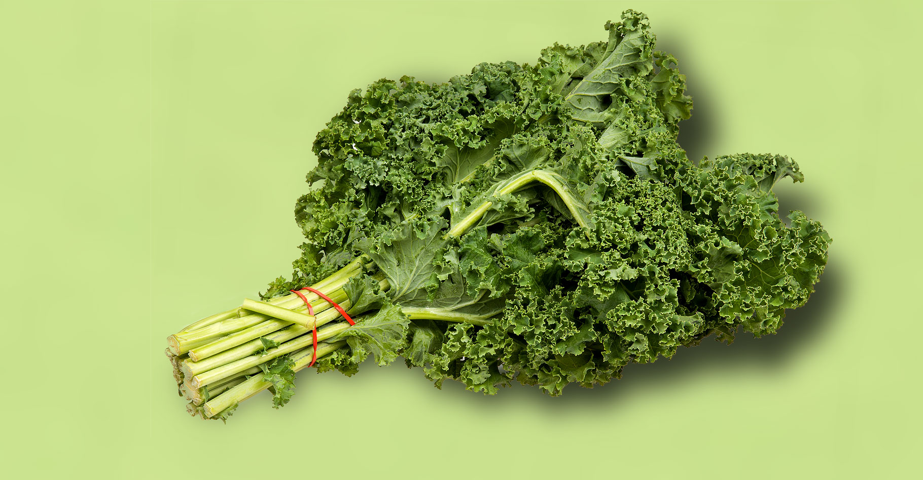 Le chou kale aux apports nutritifs impressionnants. © Evan-Amos, Wikimedia commons, Domaine Public