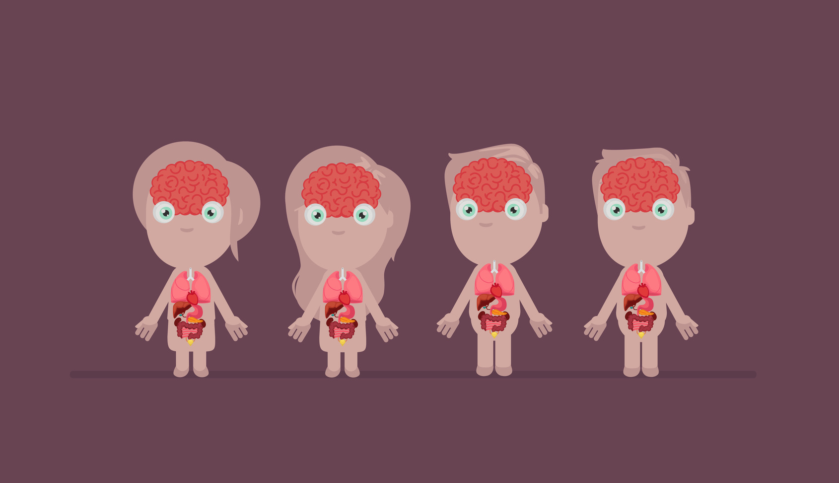Parmi les 79 organes du corps humain, lesquels ne sont pas indispensables ? © baluchis, Fotolia