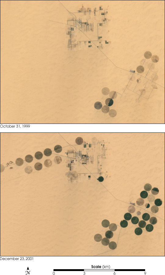 Exploitation de l’eau d’un aquifère fossile pour irriguer des cultures dans le désert égyptien. © Robert Simmon / Nasa Landsat