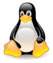 L'icône de Linux, antivirus. © Linux