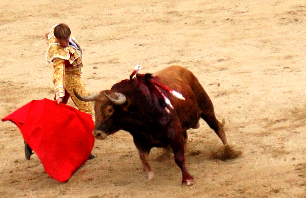 Le taureau de la corrida voit surtout un humain qui l'agresse.&nbsp;©&nbsp;Enrique Dans,&nbsp;Flickr CC&nbsp;by-nc-sa 2.0