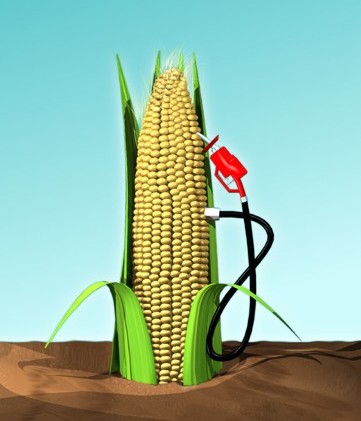 Les biocarburants présentent des défauts importants. © DR